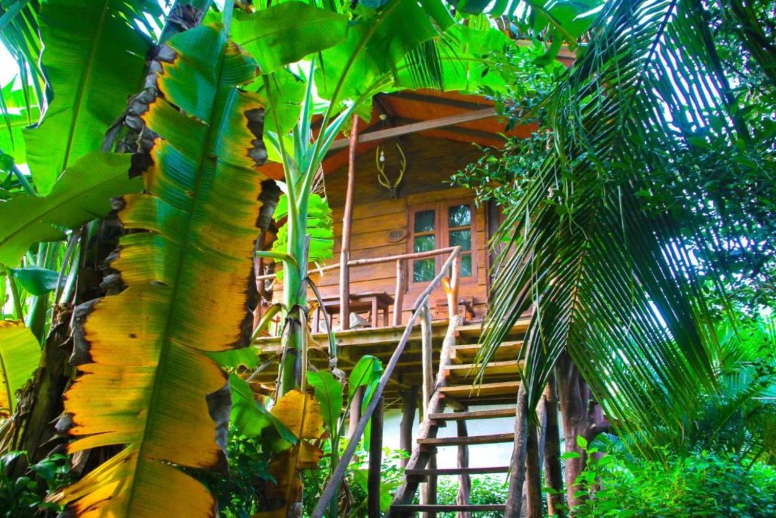 Double Room with Garden View