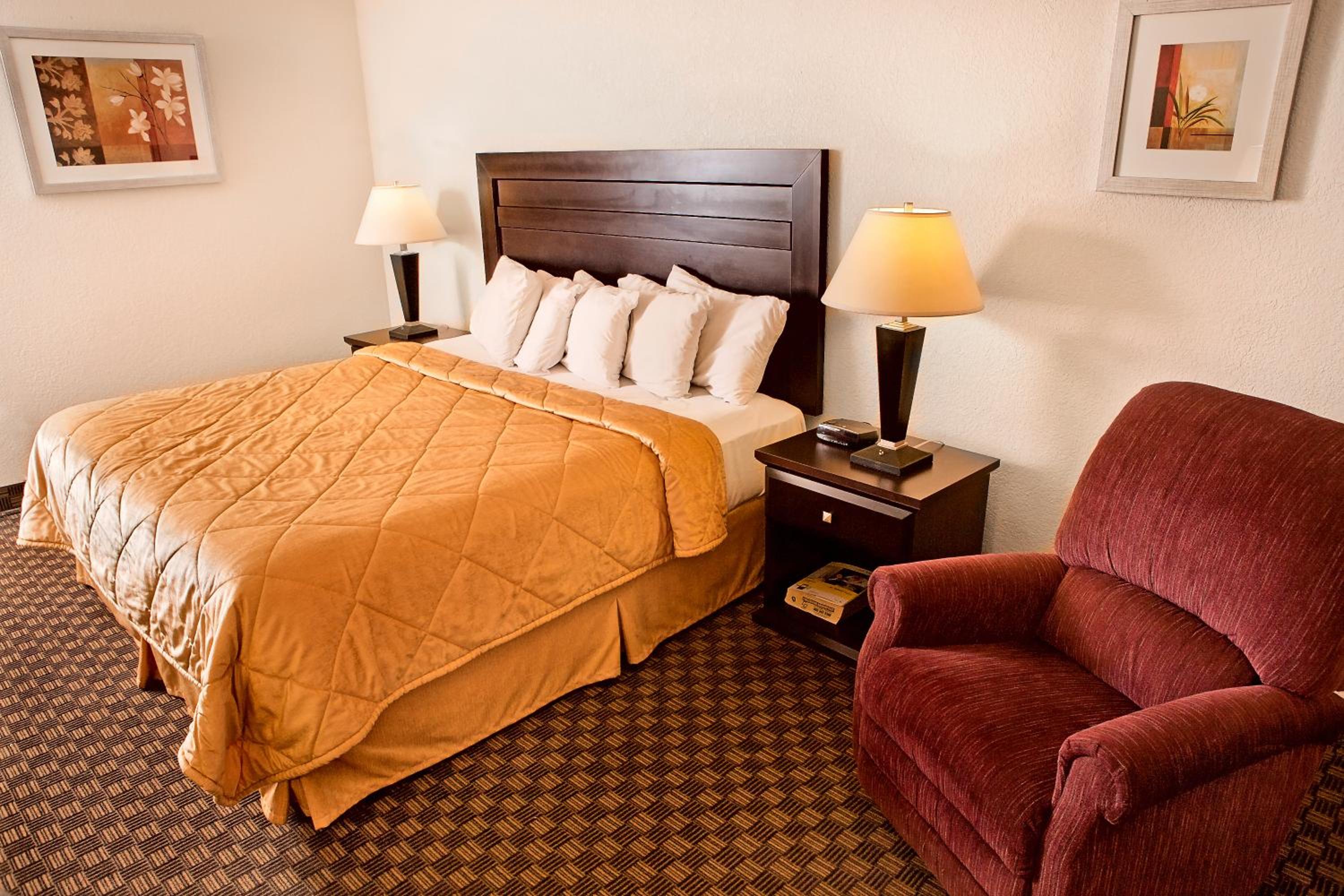 Queen Room - Disability Access - Non-Smoking photo 1