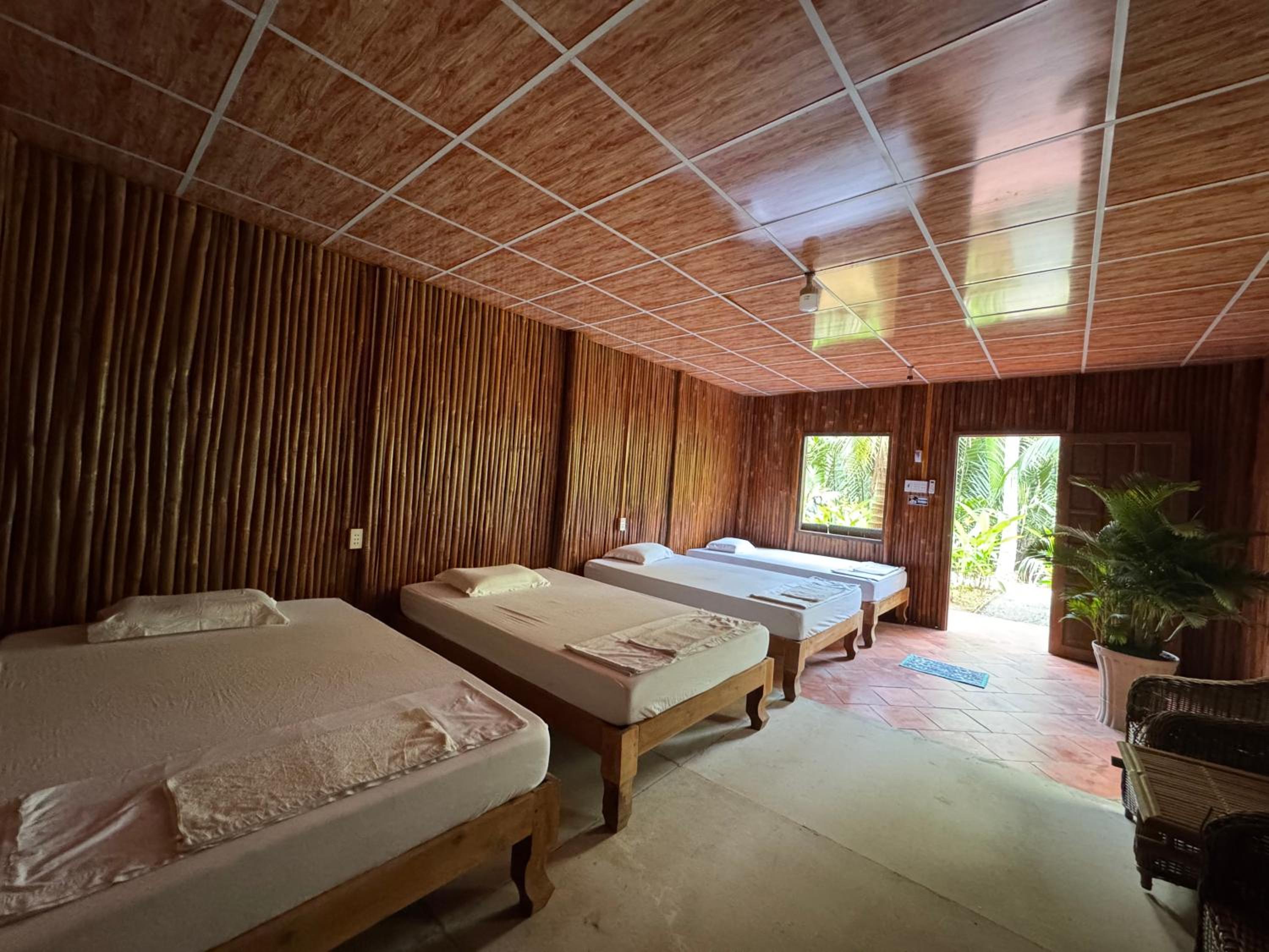 Mixed Dormitory Room photo 1