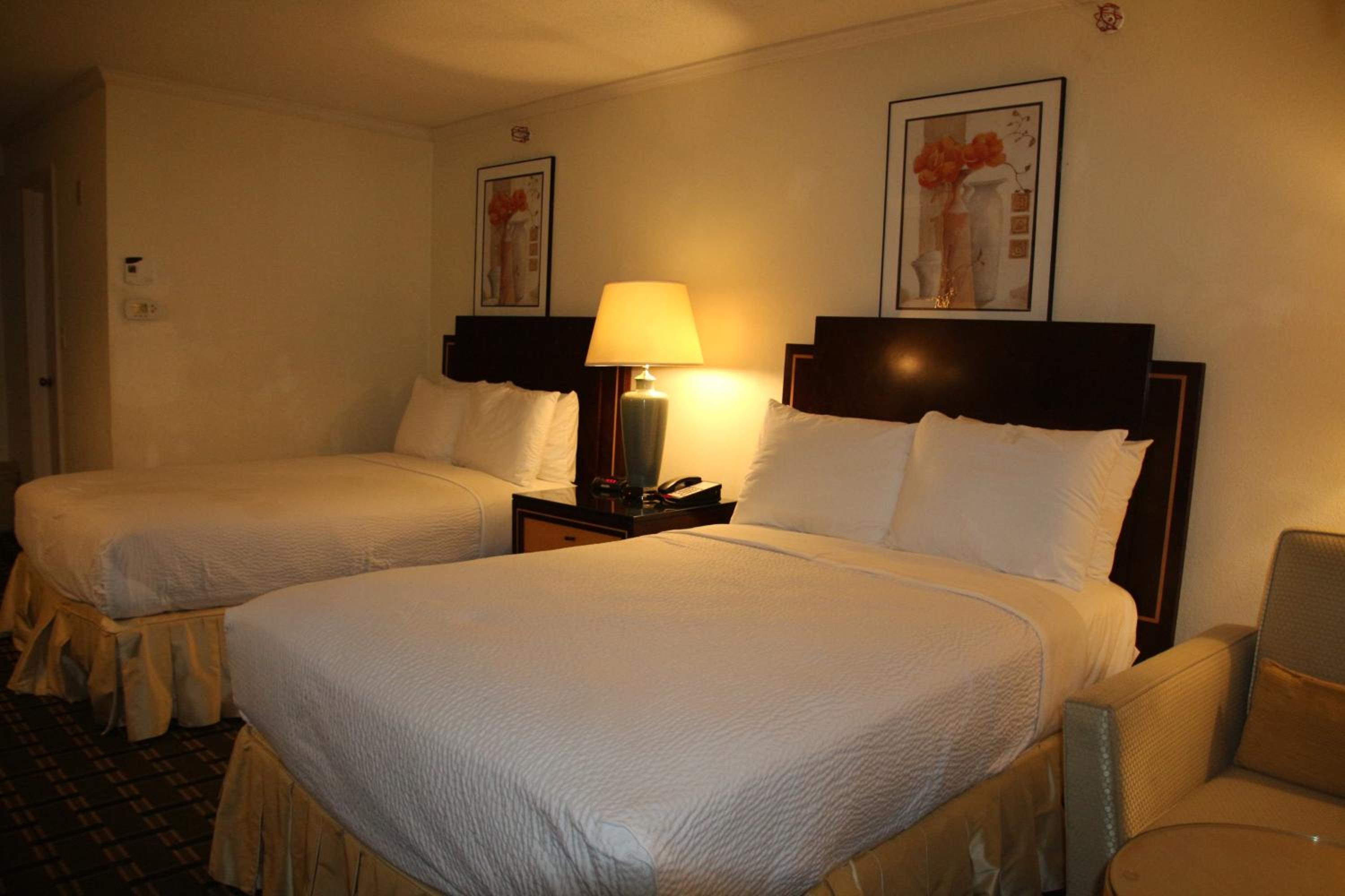 Standard Double Room with Two Double Beds photo 1