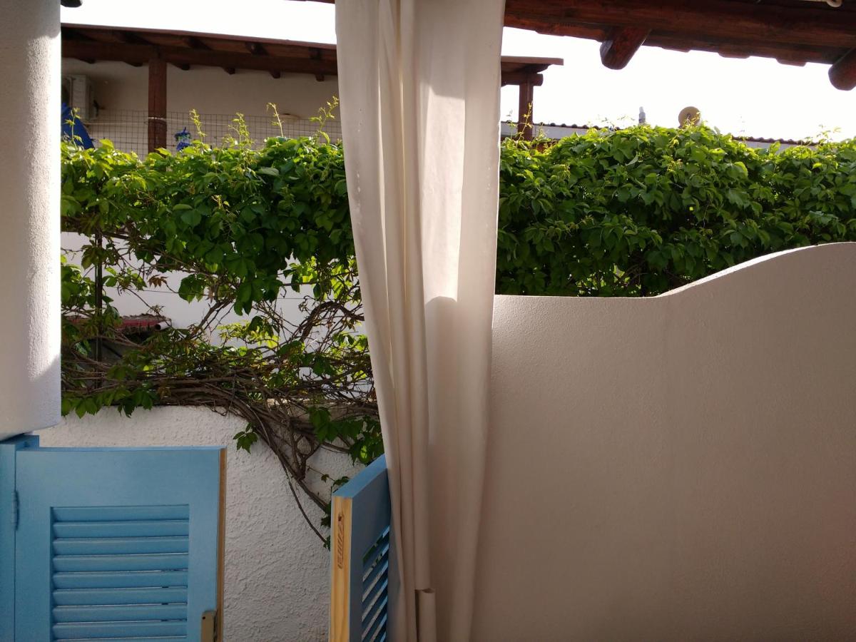 Studio with Sofa Bed