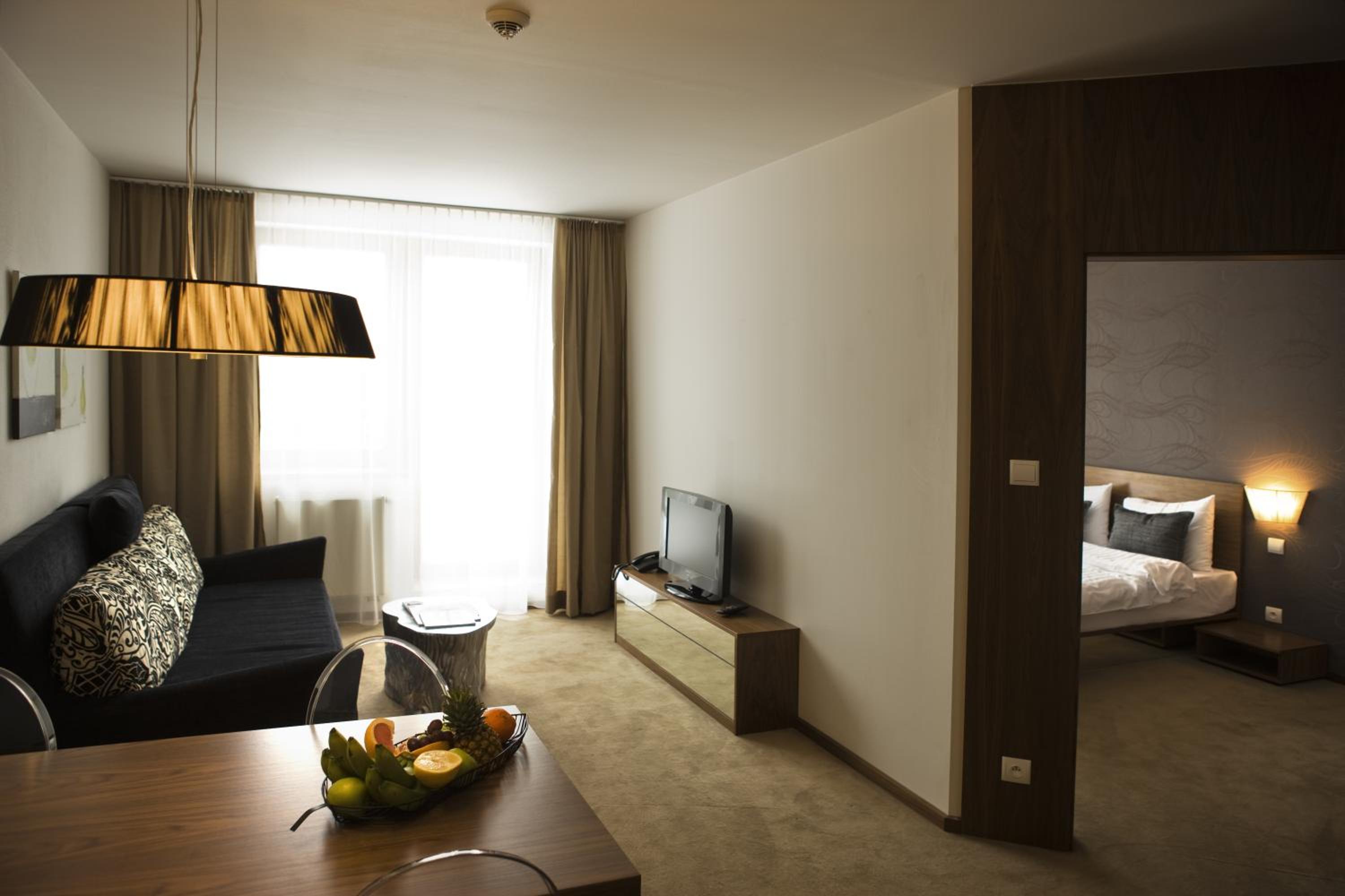 Deluxe One-Bedroom Apartment - Photo 2