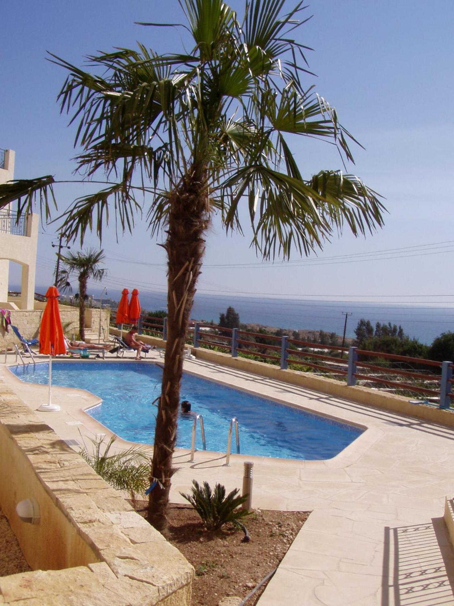 Apartment With Sea View photo 2