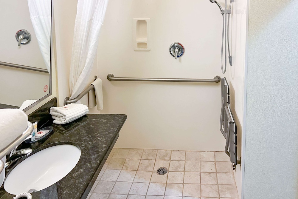 Suite, 1 King Bed, Sofa Bed, Sitting Area, Roll-in Shower, Accessible, Non-Smoking - Photo 2