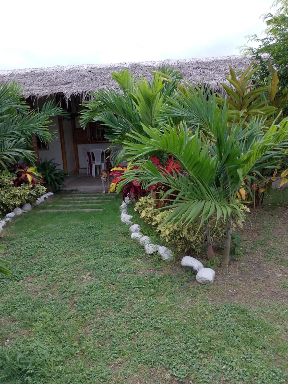 Queen Room with Garden View photo 2