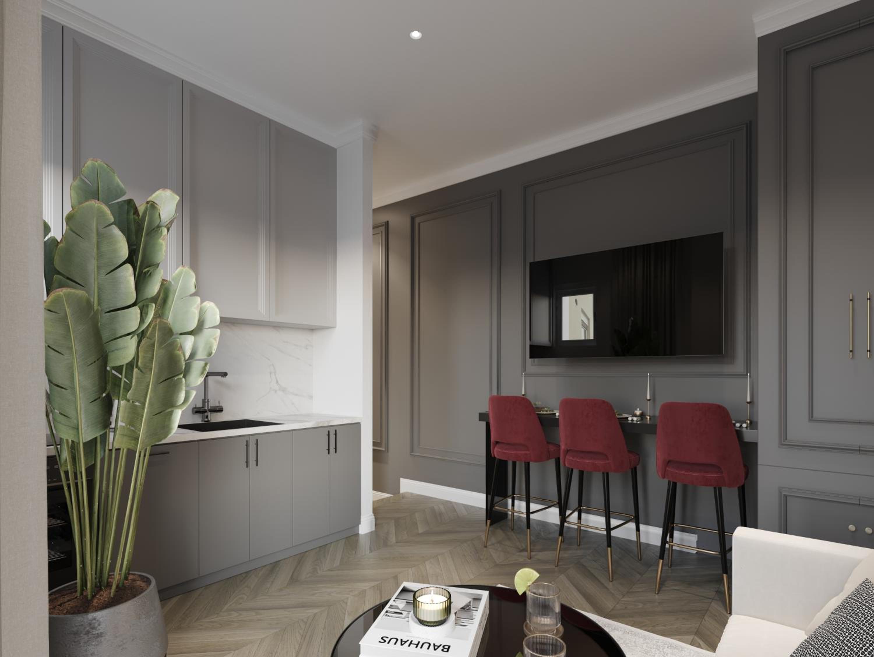 Deluxe One-Bedroom Apartment