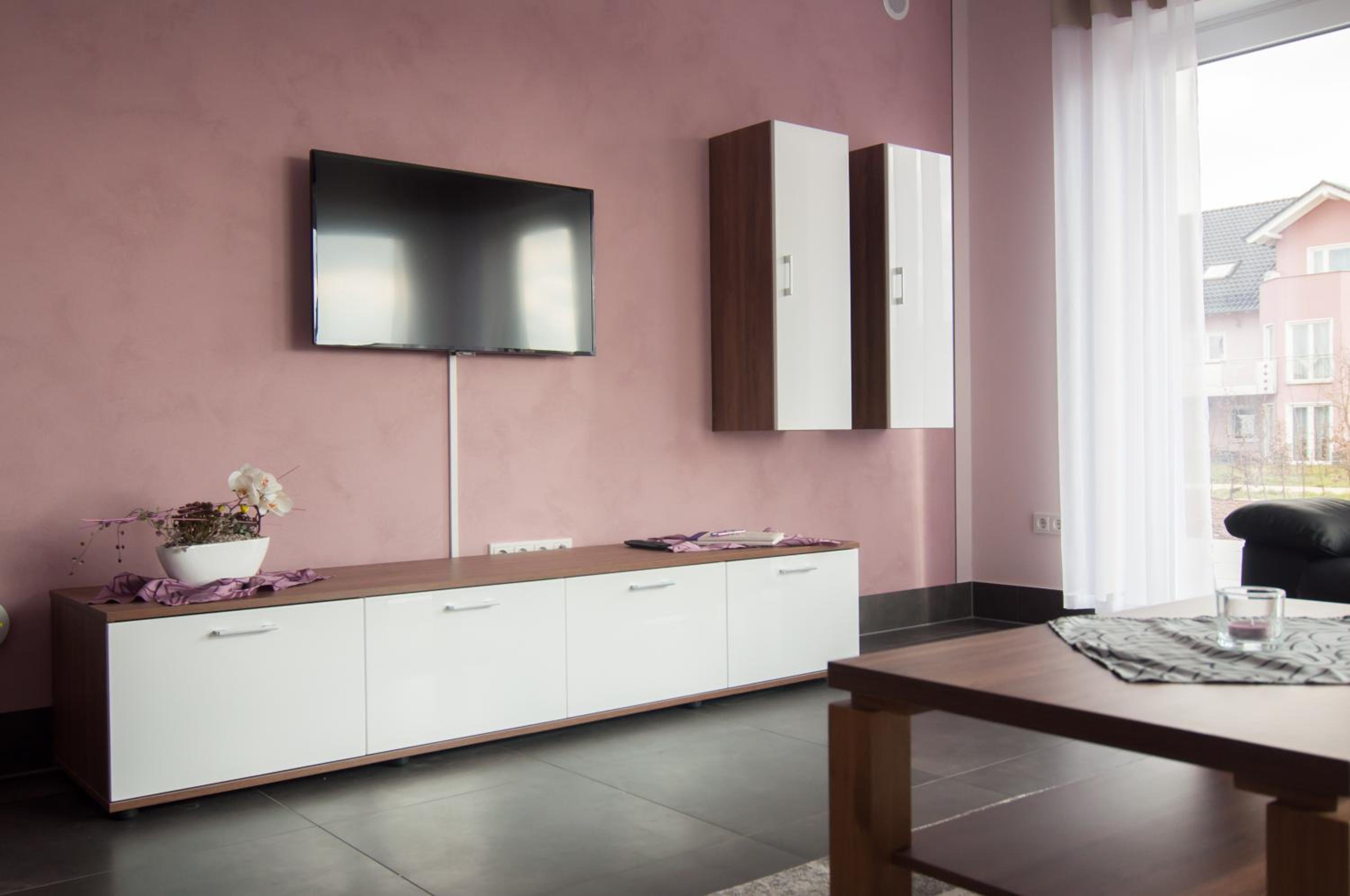 Apartment with Terrace photo 2