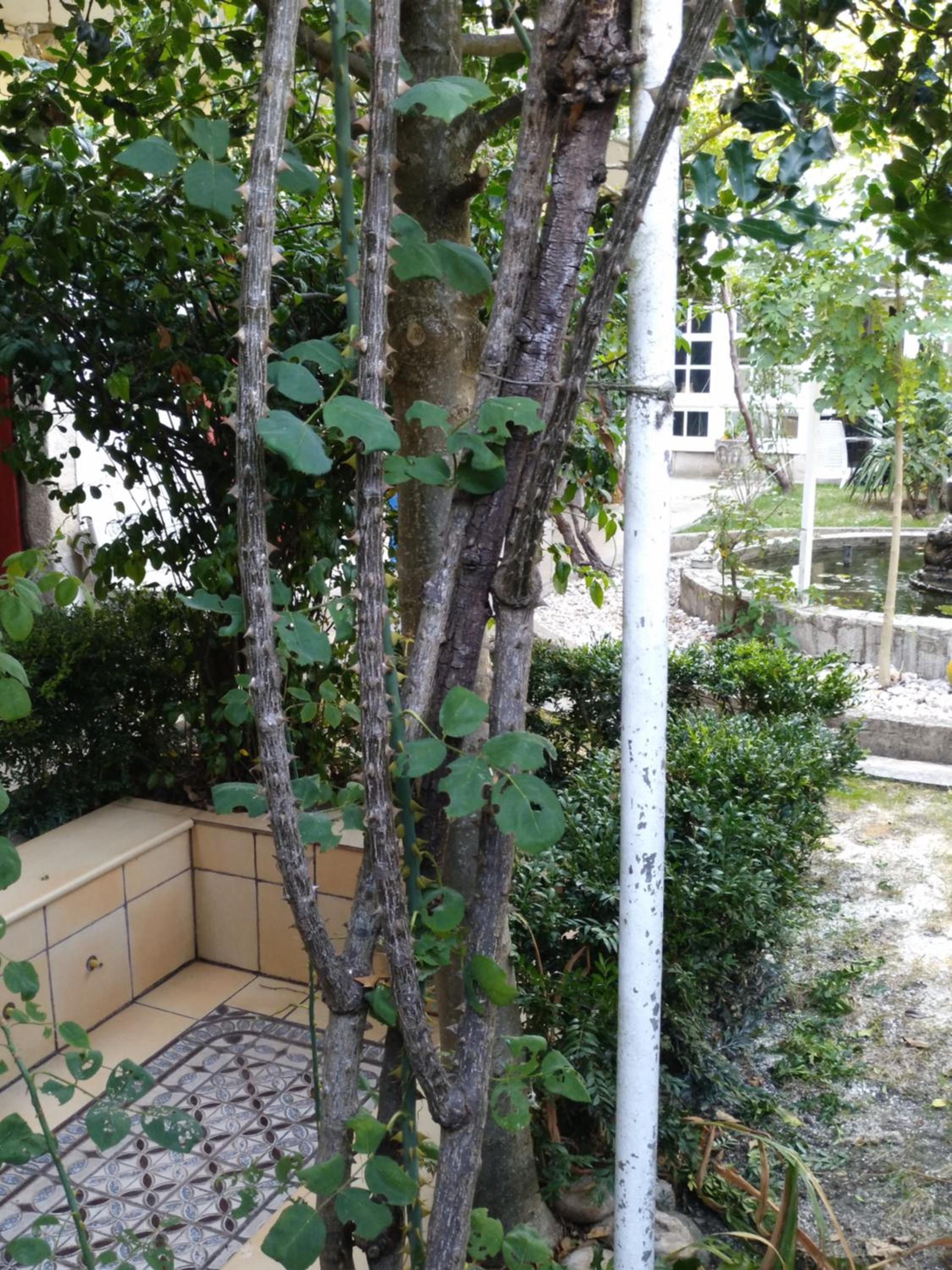 Pension-Albergue Don Alvaro, Billede 27