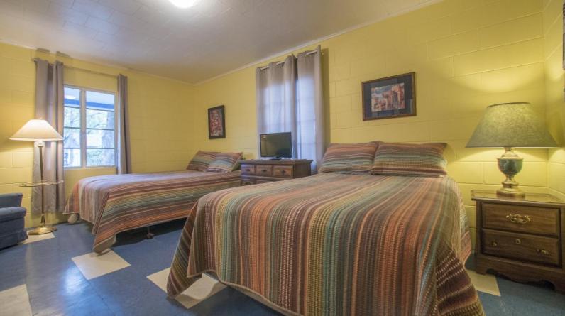 Double Room with Pool View photo 3