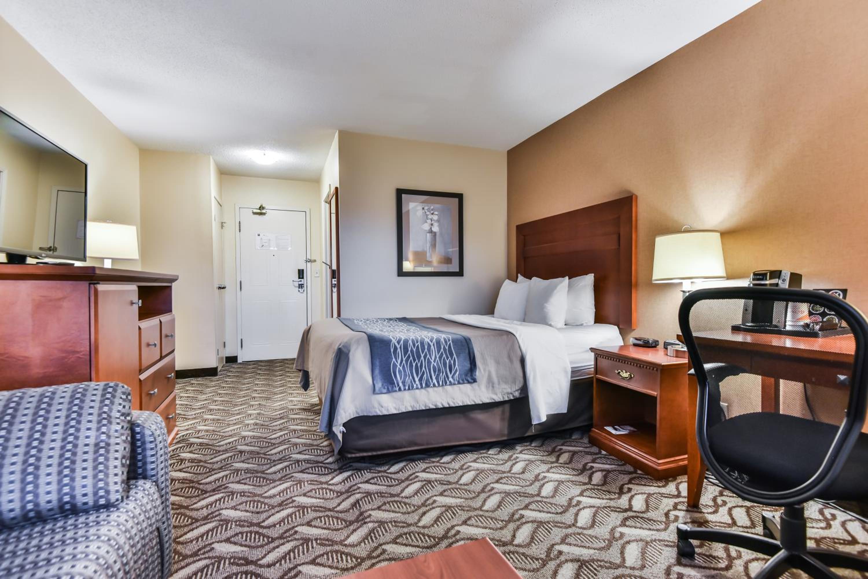 Queen Room - Ground Floor/Pet Friendly/Non-Smoking