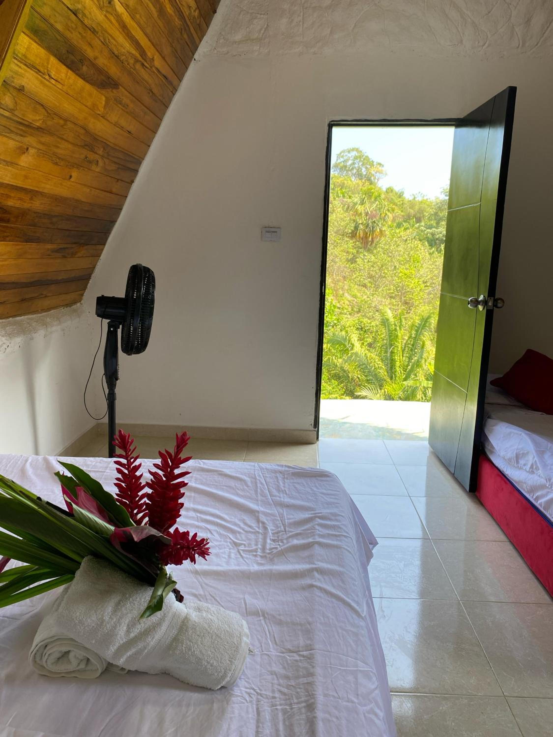 Twin Room photo 1