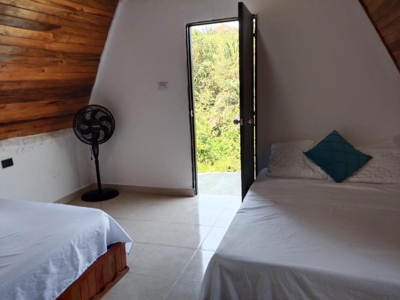 Twin Room photo 3