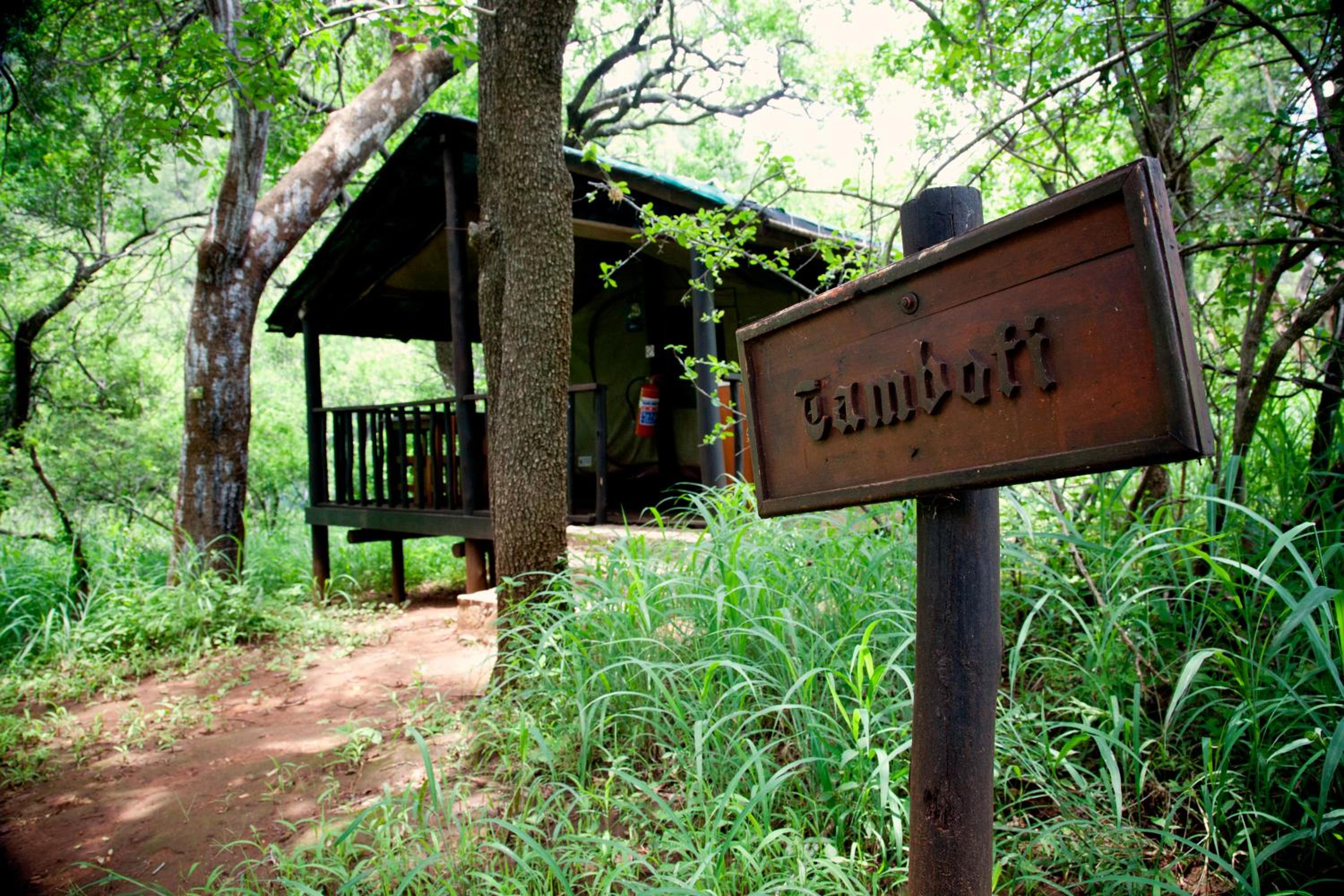 Tent - Tholo Tented Camp photo 2