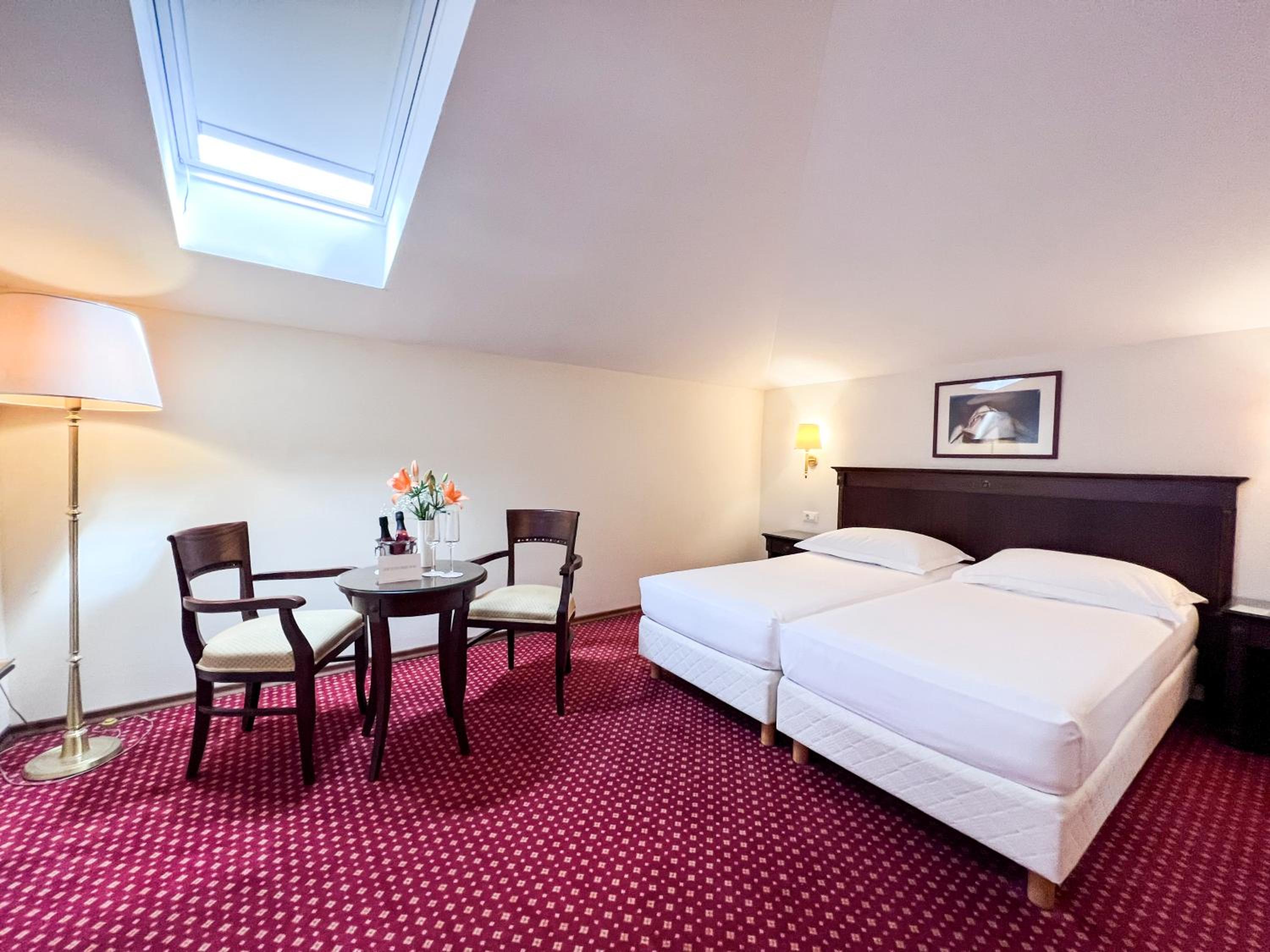 Standard Double Room Roof Window