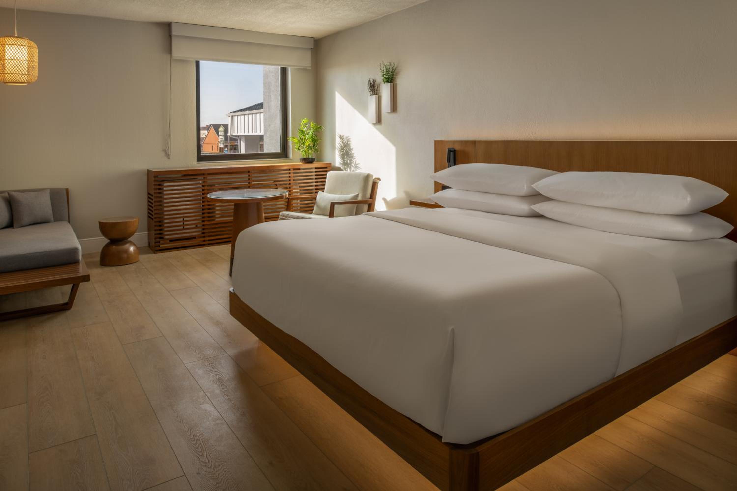 Superior King Room photo 1