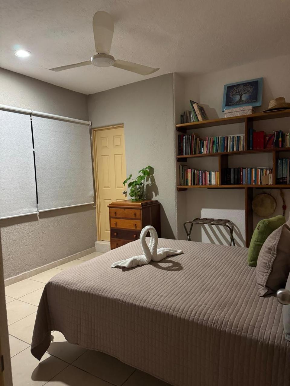 Superior Queen Room photo 1