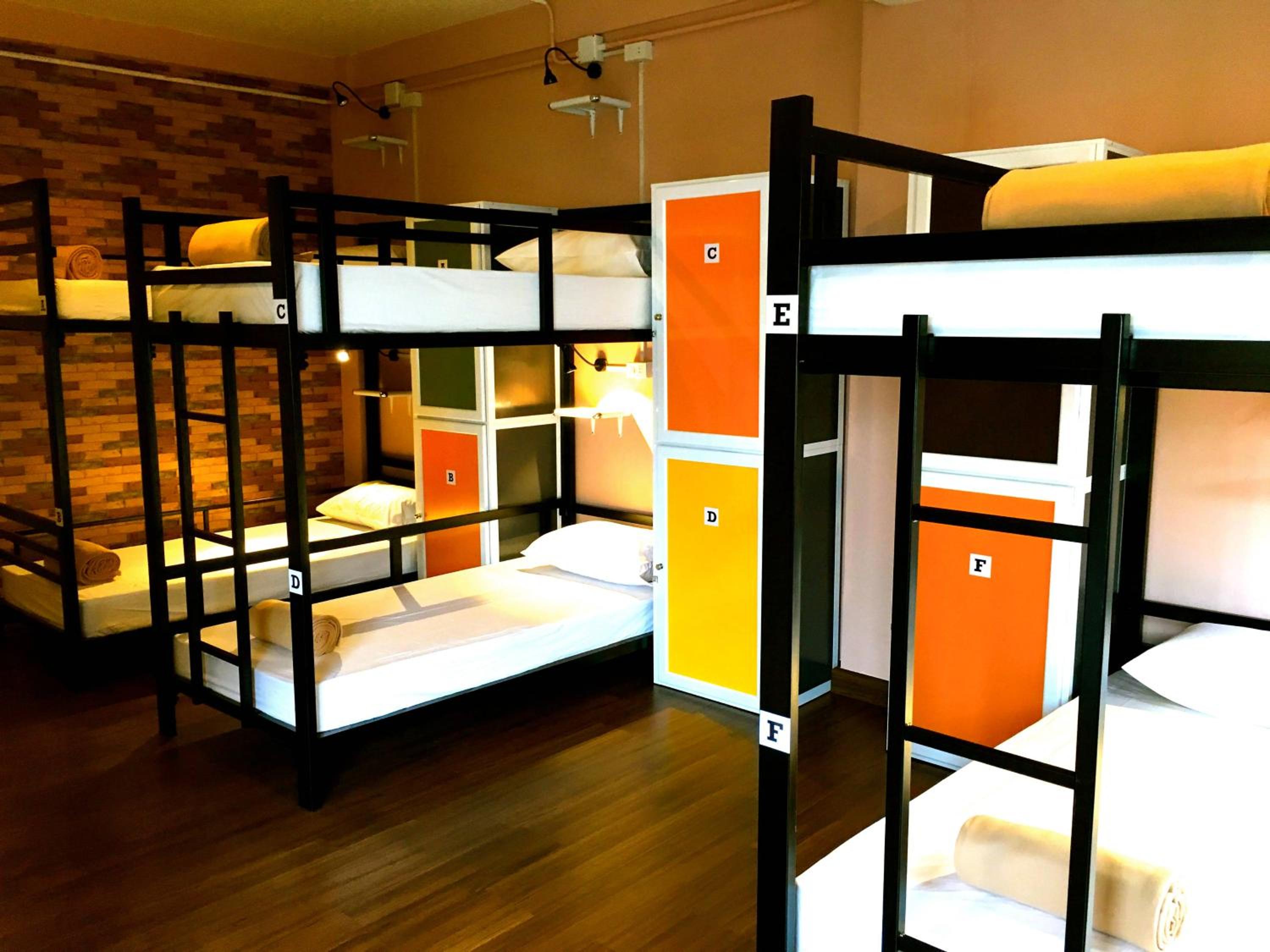 Bunk Bed in Mixed Dormitory Room photo 3