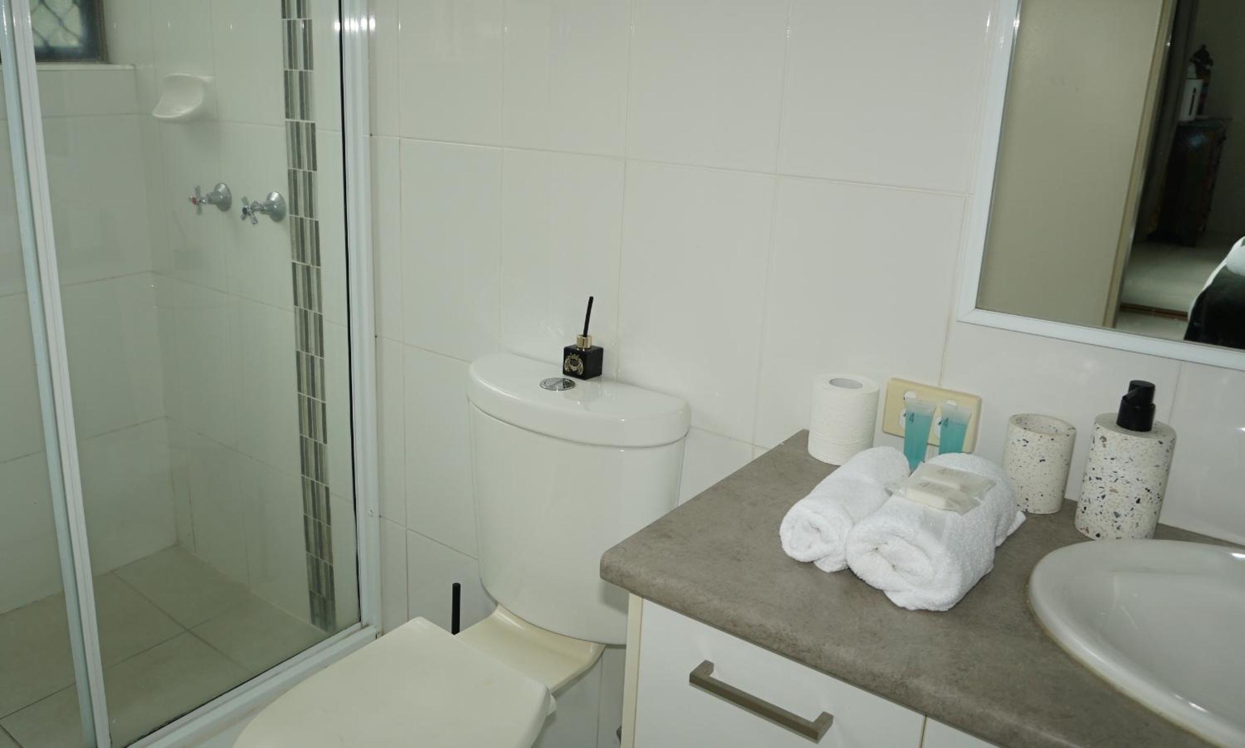 Deluxe One-Bedroom Apartment
