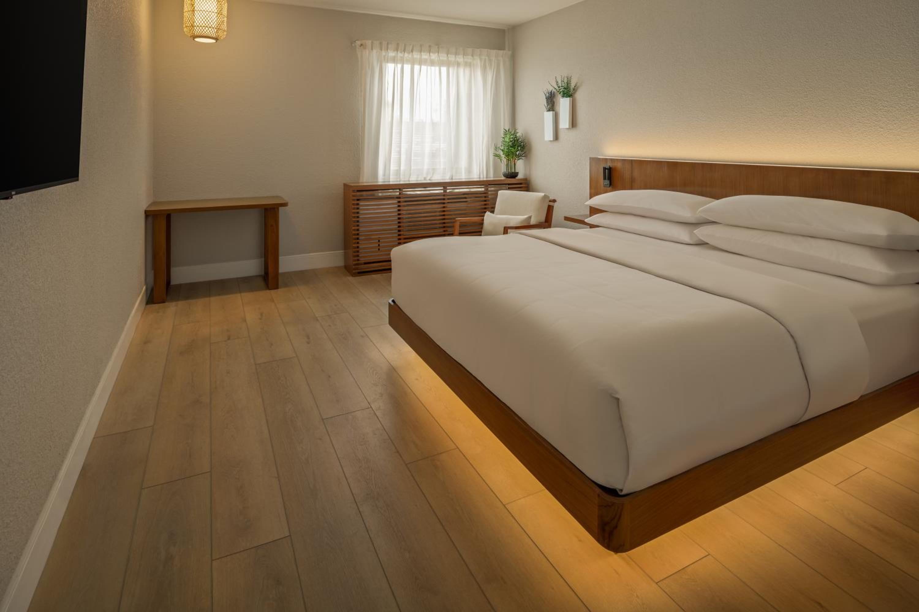 King Room - Disability Access photo 3