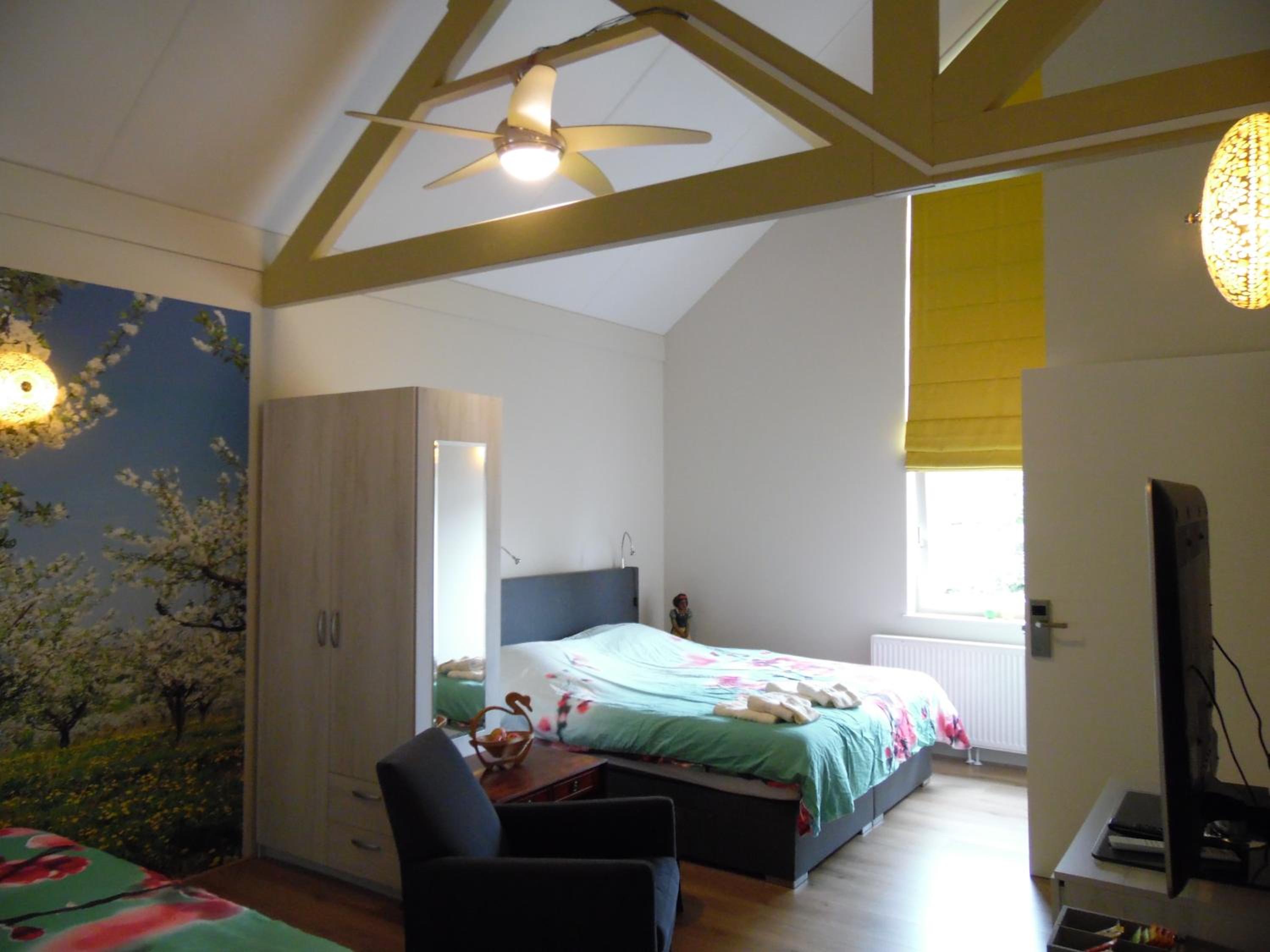 Luxury Quadruple Room photo 3