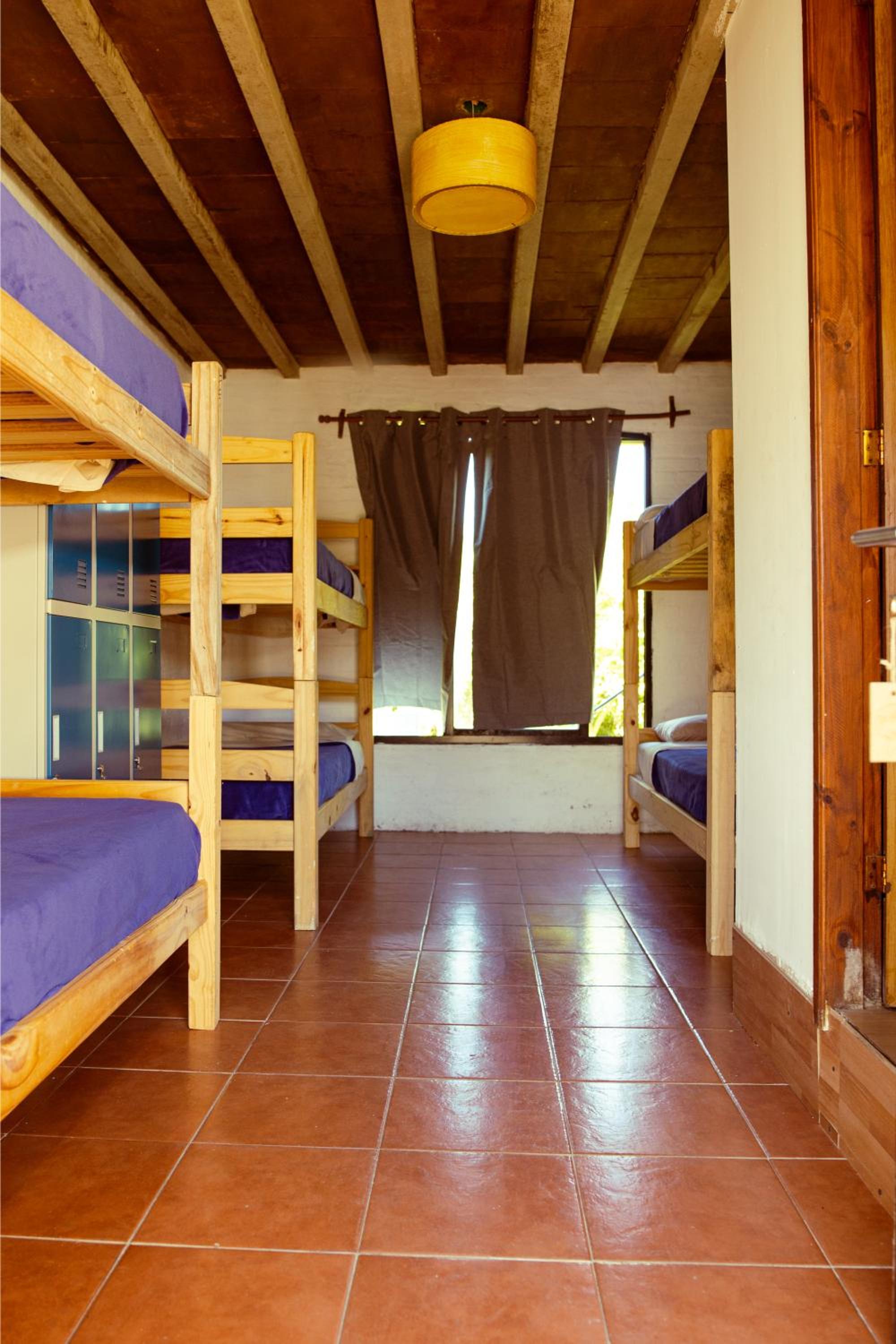 Bed in 6-Bed Dormitory Room