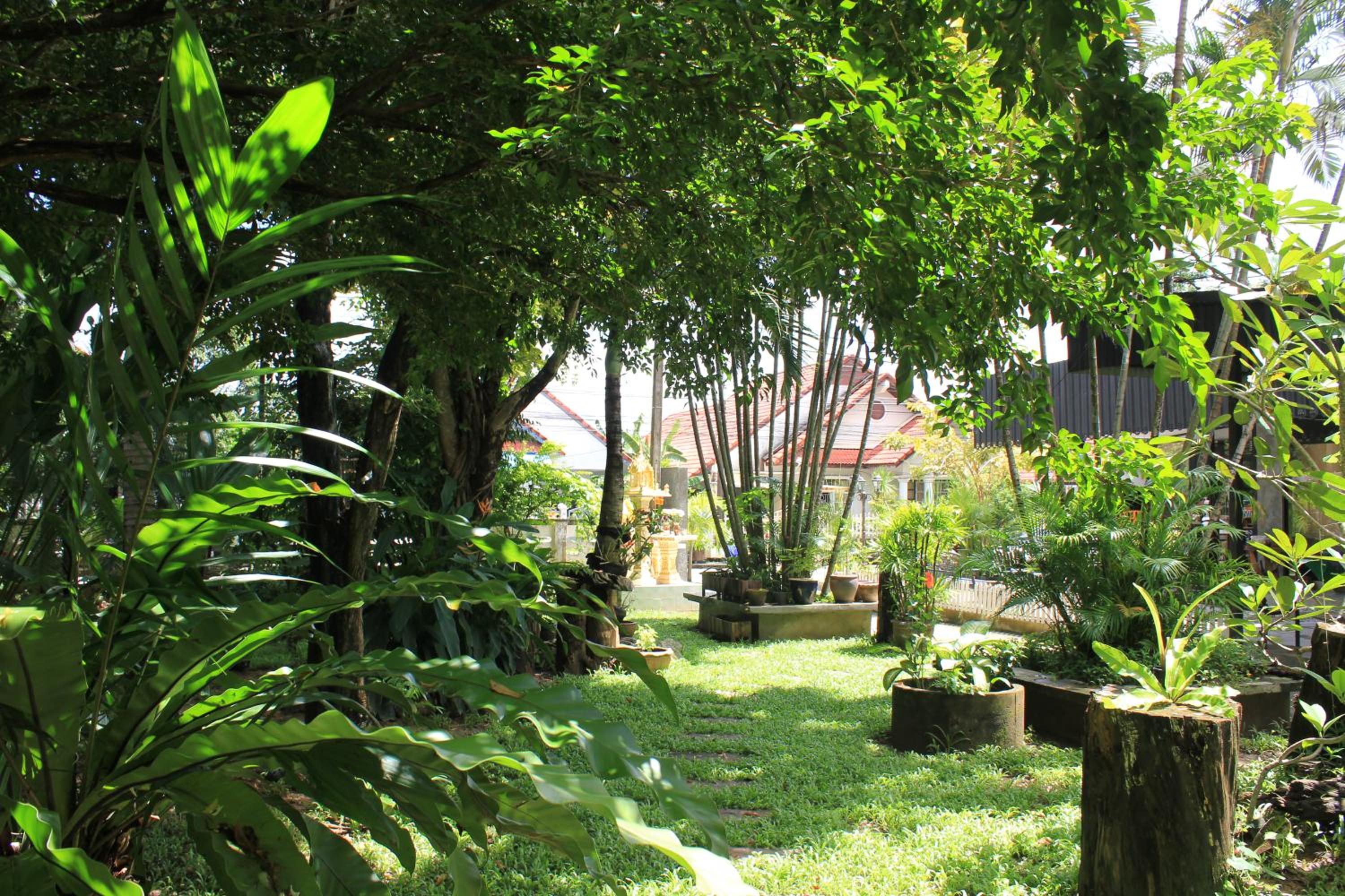 Studio with Garden View - Photo 12