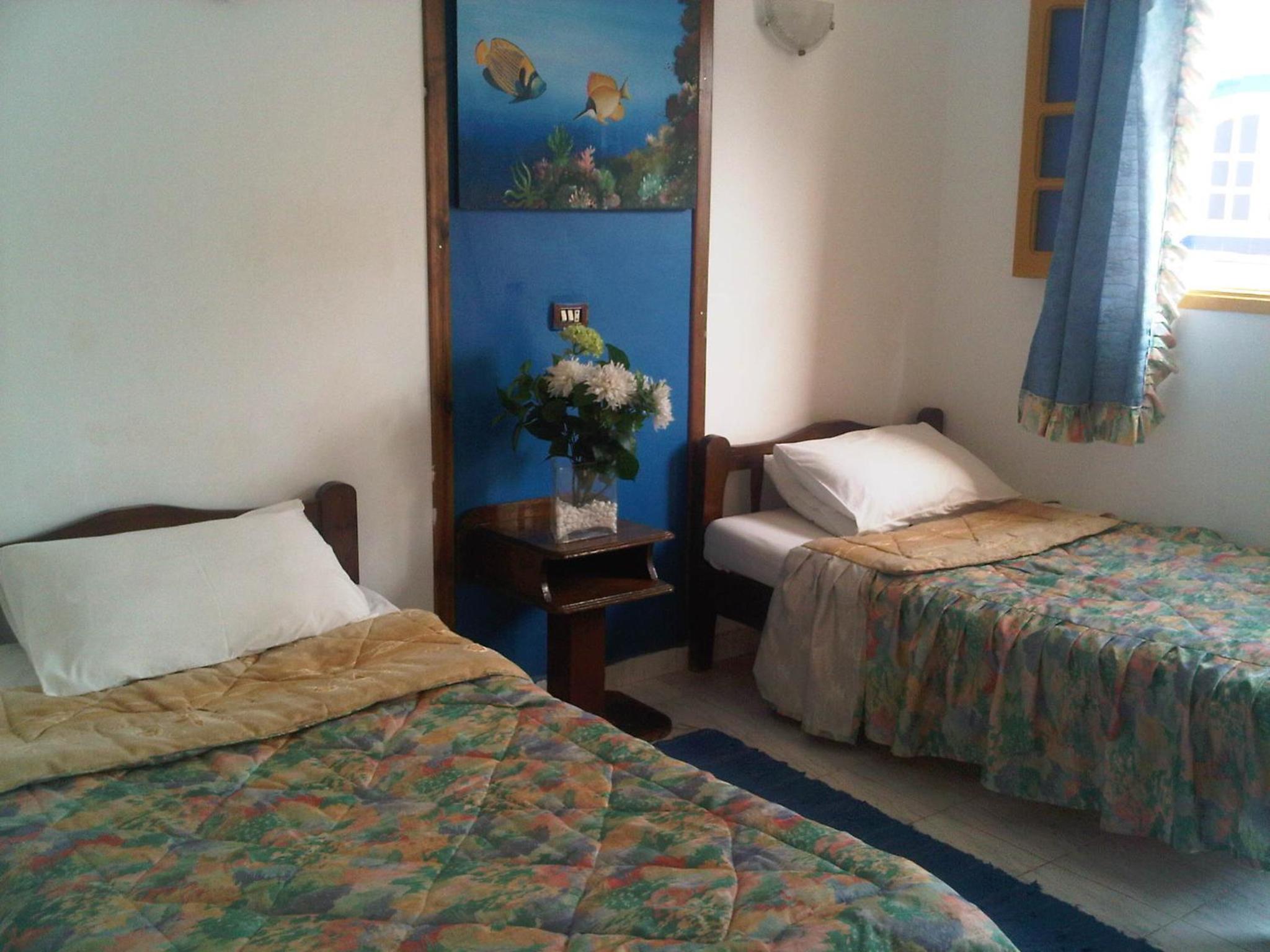 Twin Room - Photo 1