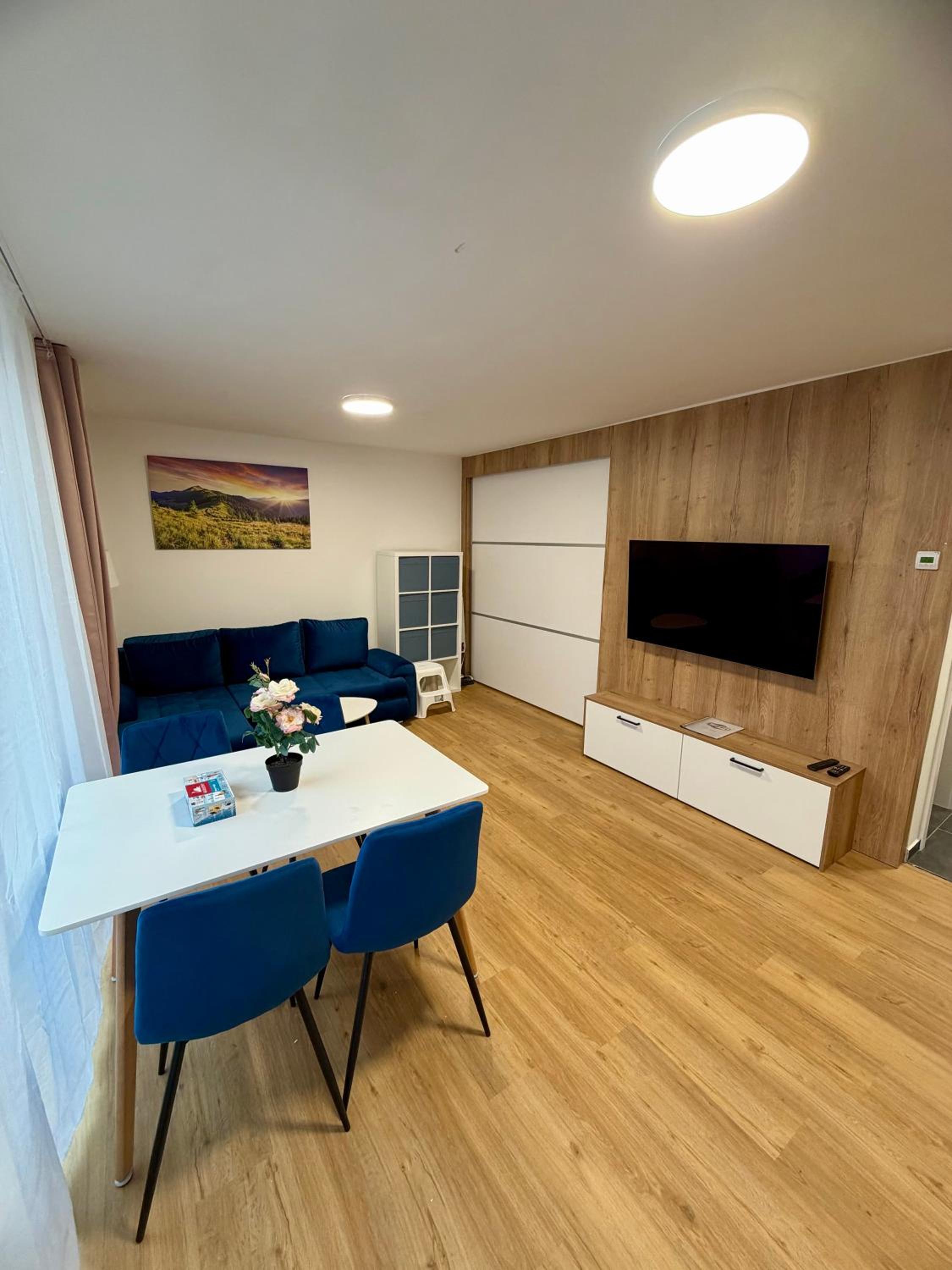 One-Bedroom Apartment with Terrace photo 3