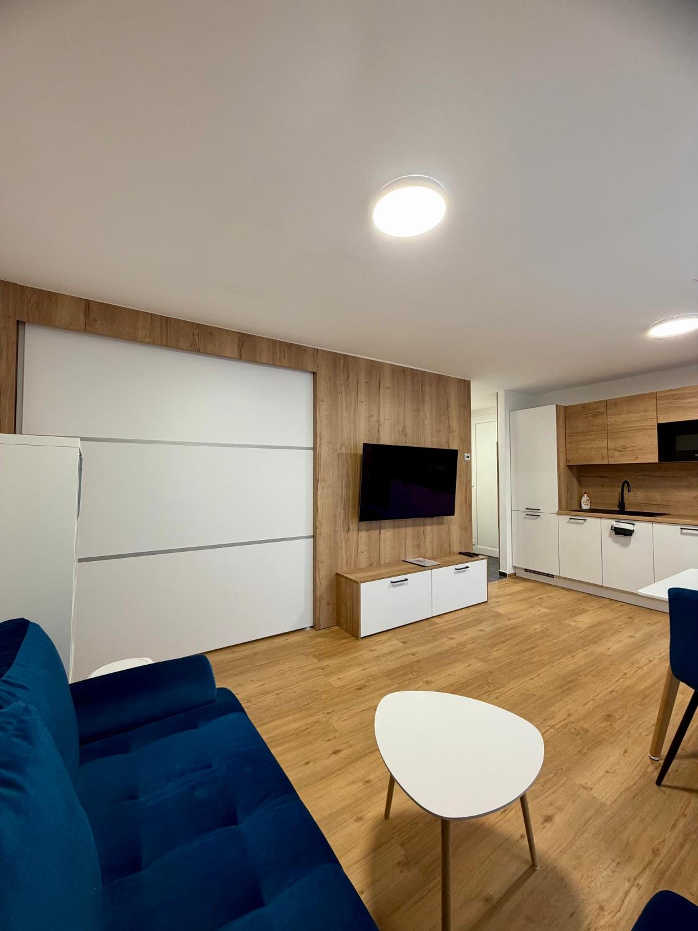 One-Bedroom Apartment with Terrace photo 2