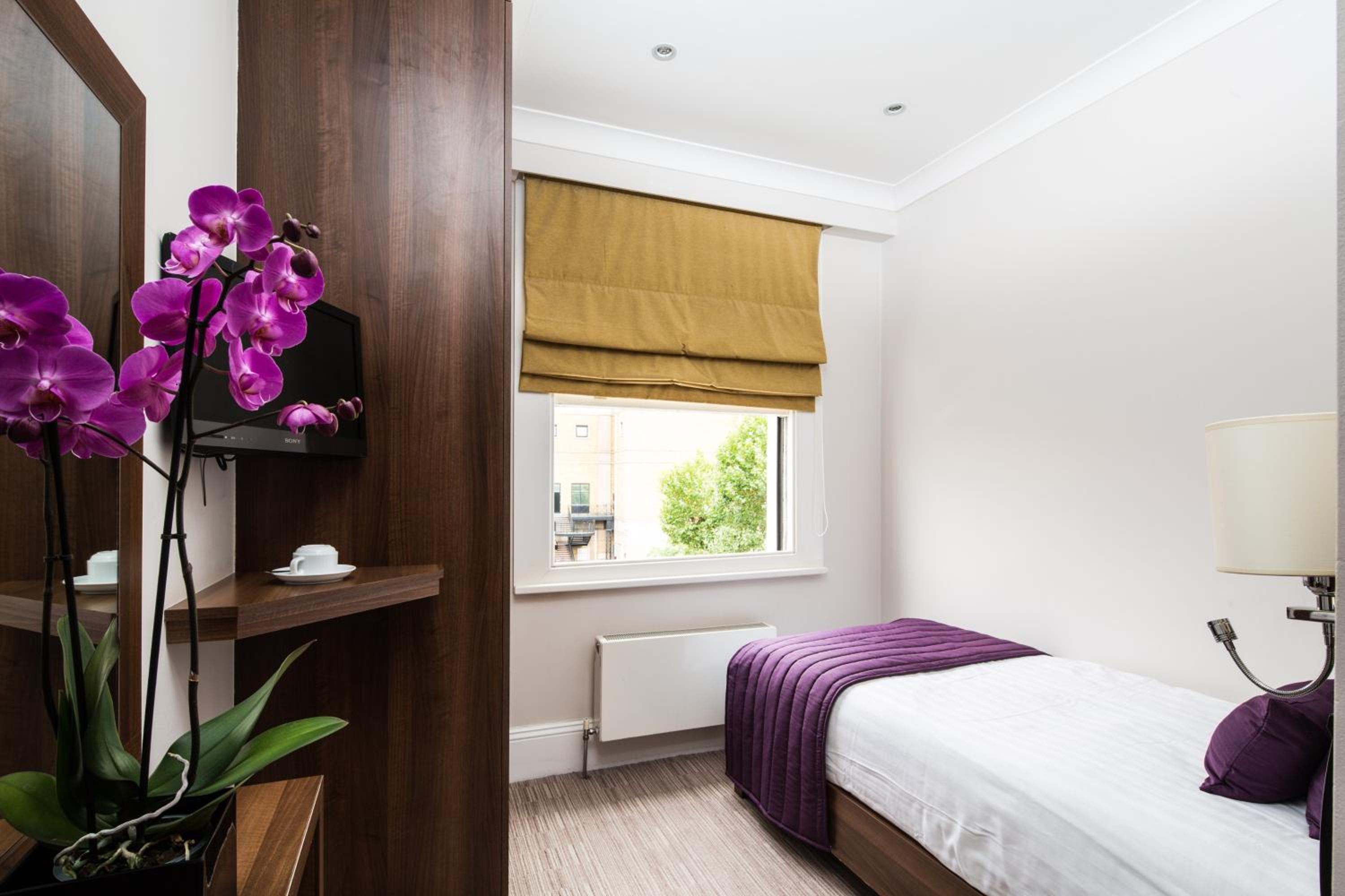 Single Room photo 1