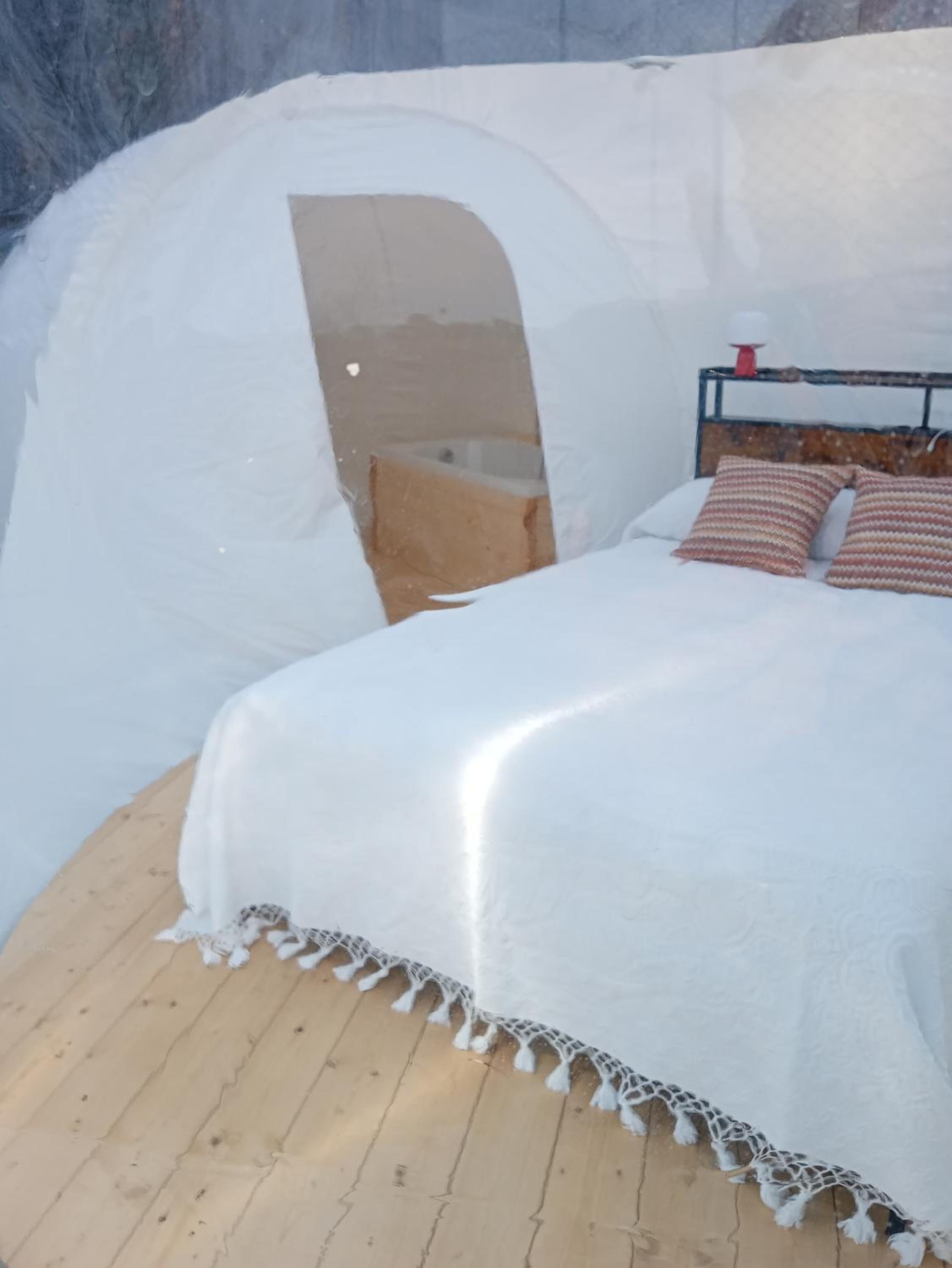 Bubble Room  photo 2