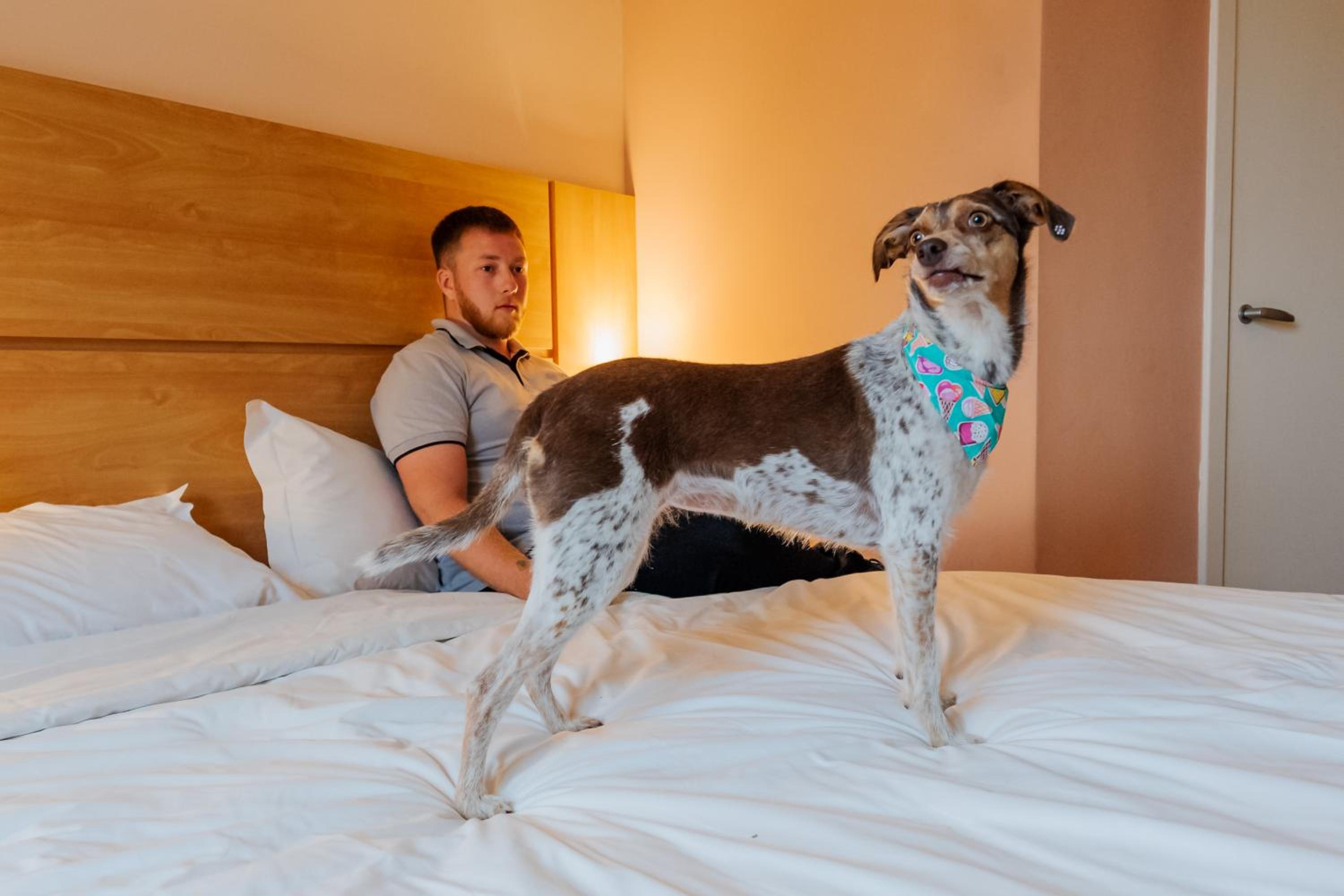 Standard Room with One Double Bed and One Single Bed photo 1