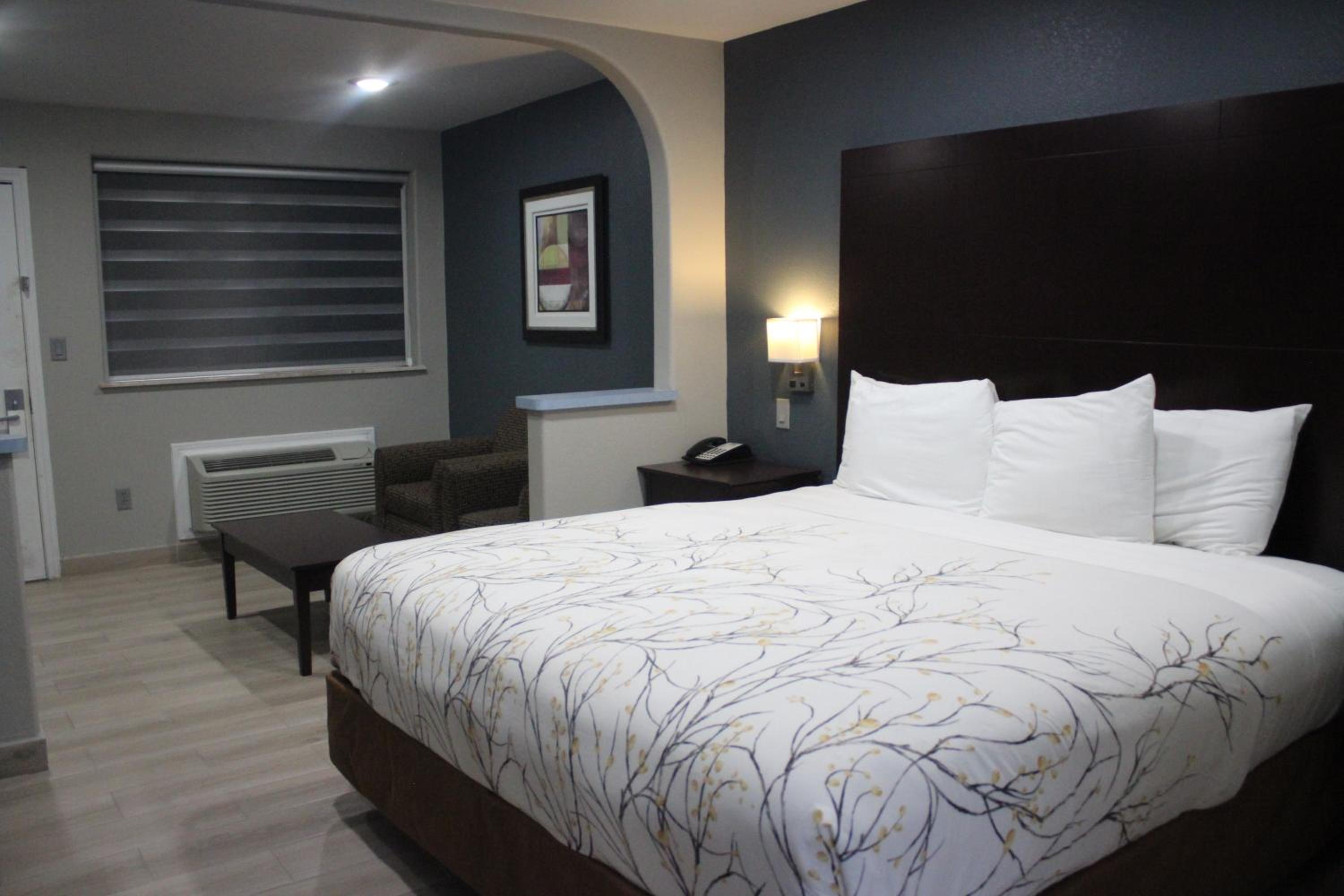 Deluxe Single Room photo 1
