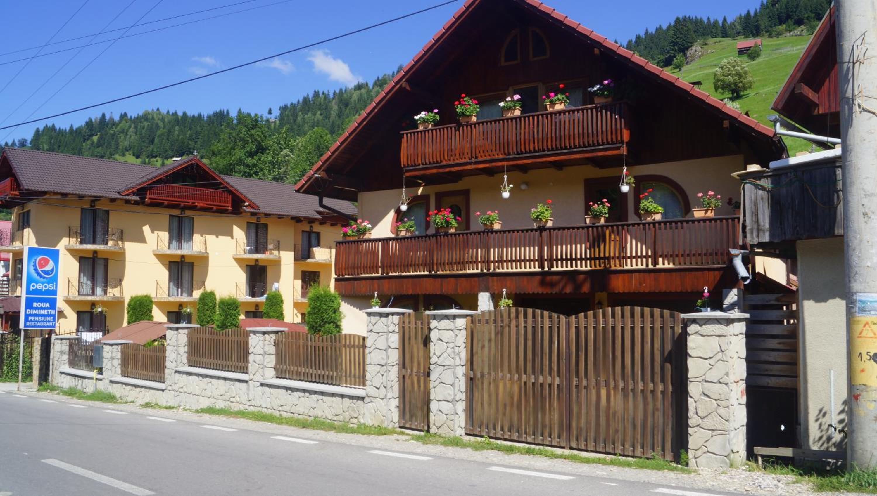 Superior Villa photo 2