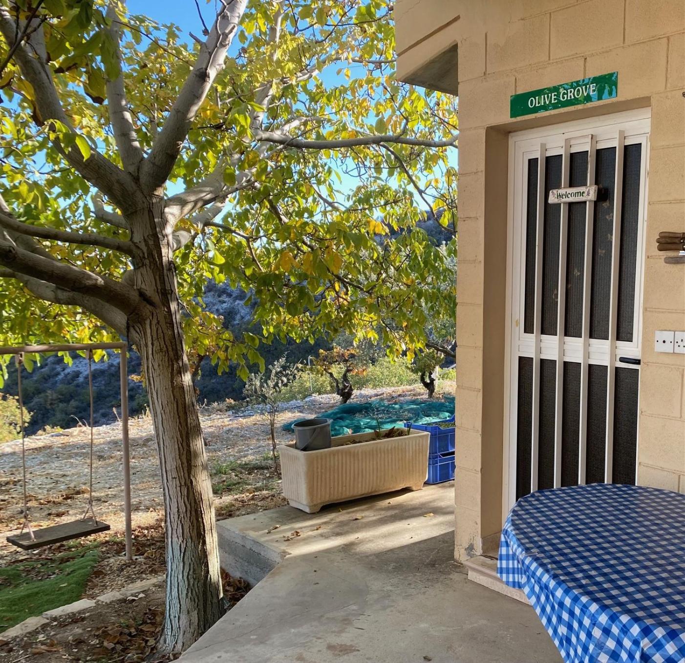 One-Bedroom House photo 2