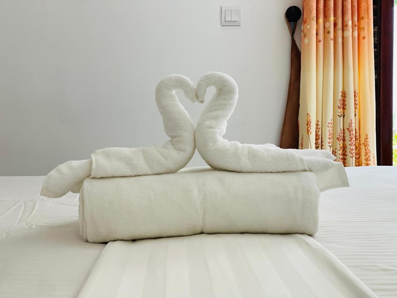 Budget Single Room photo 2