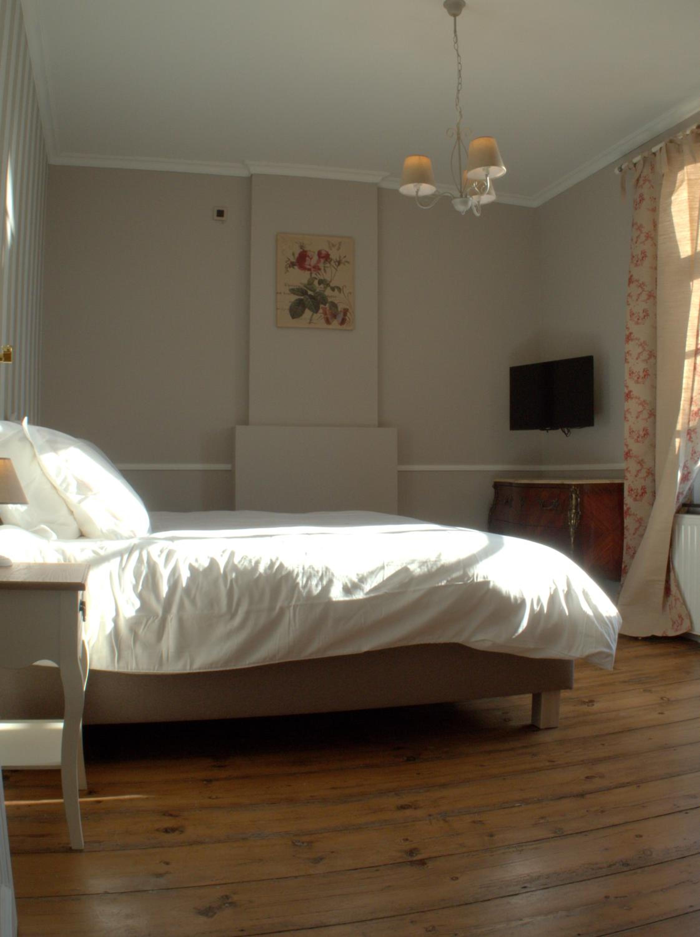 Deluxe Double or Twin Room photo 2