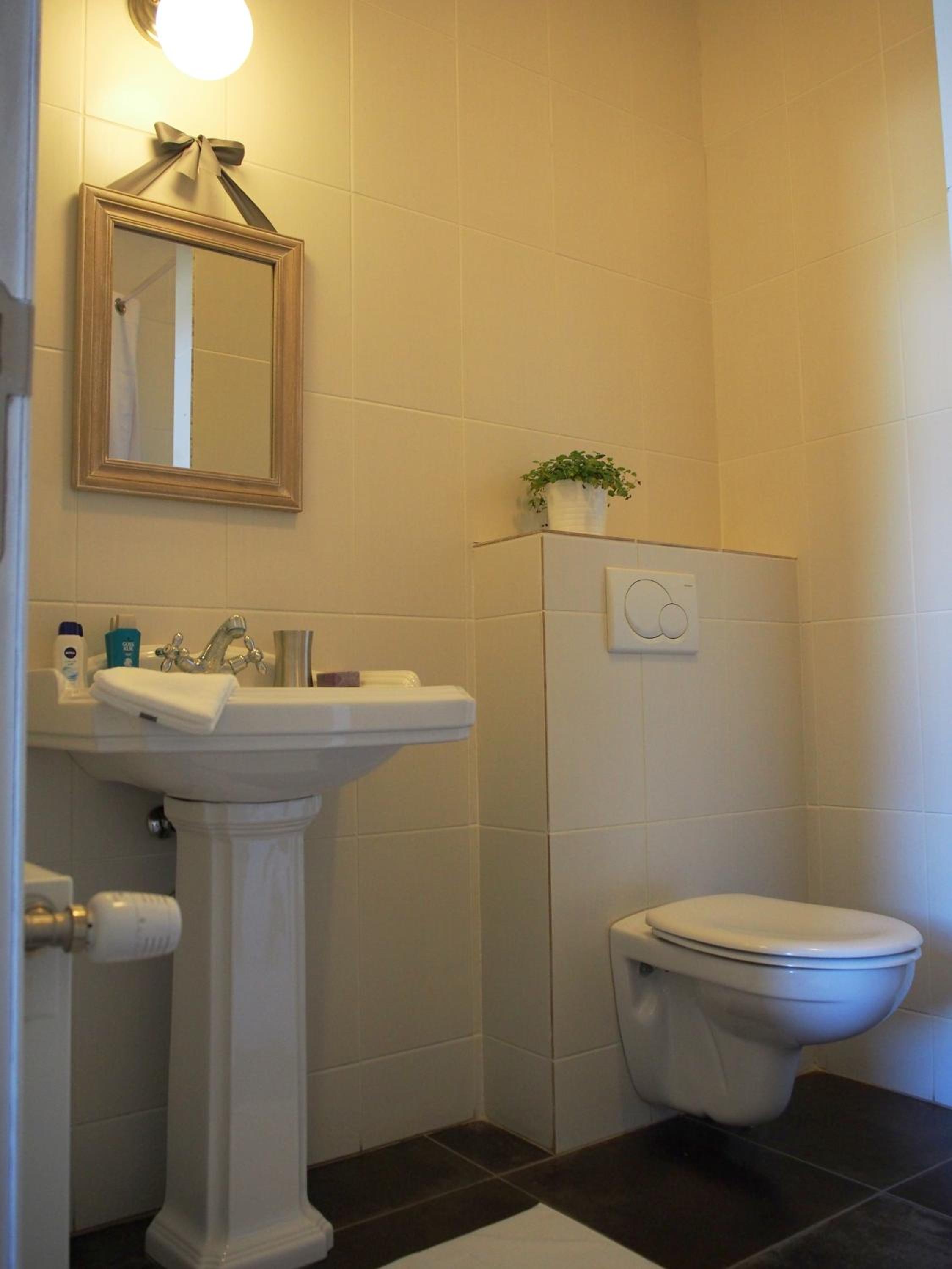 Deluxe Double or Twin Room photo 3