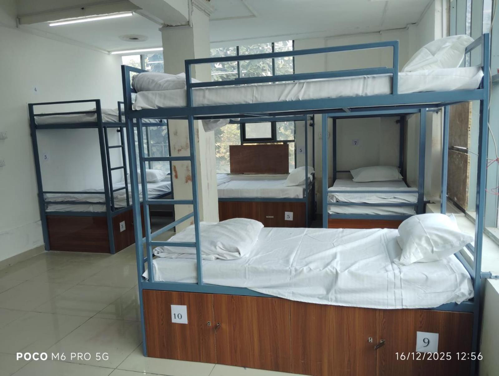 Single Bed in 10-Bed Dormitory Room