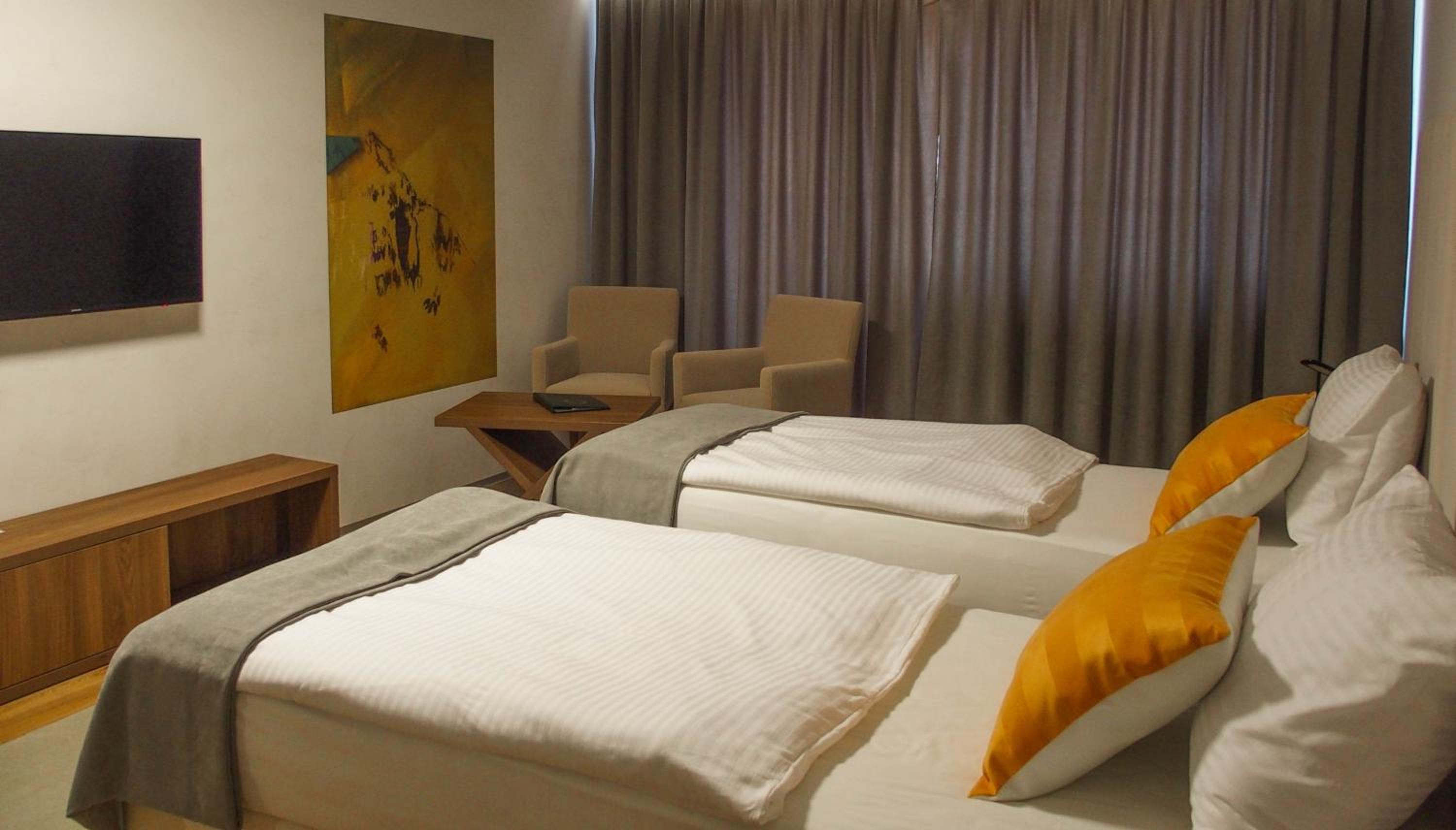 Superior Double or Twin Room photo 3