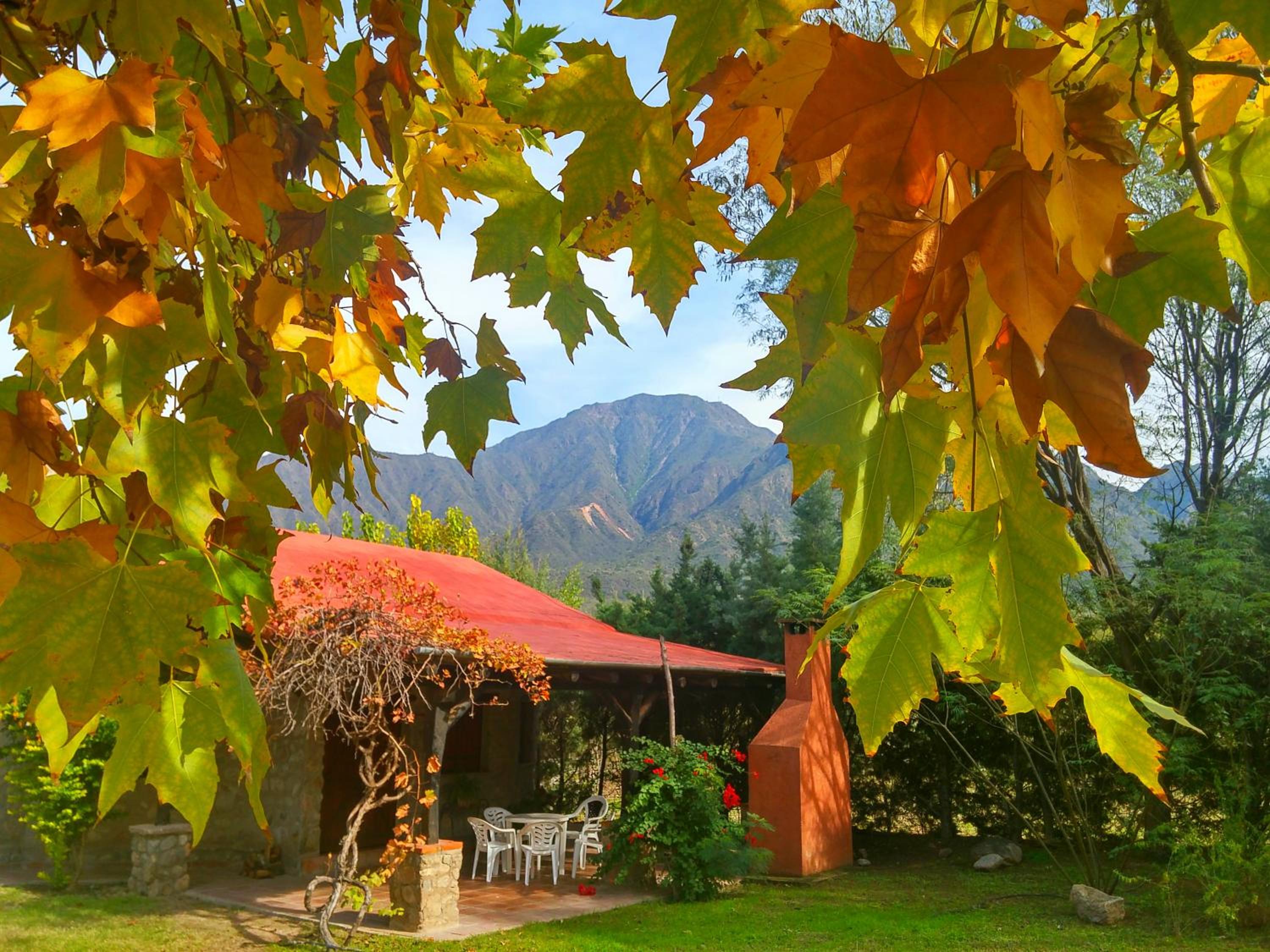 Vacation Home photo 2