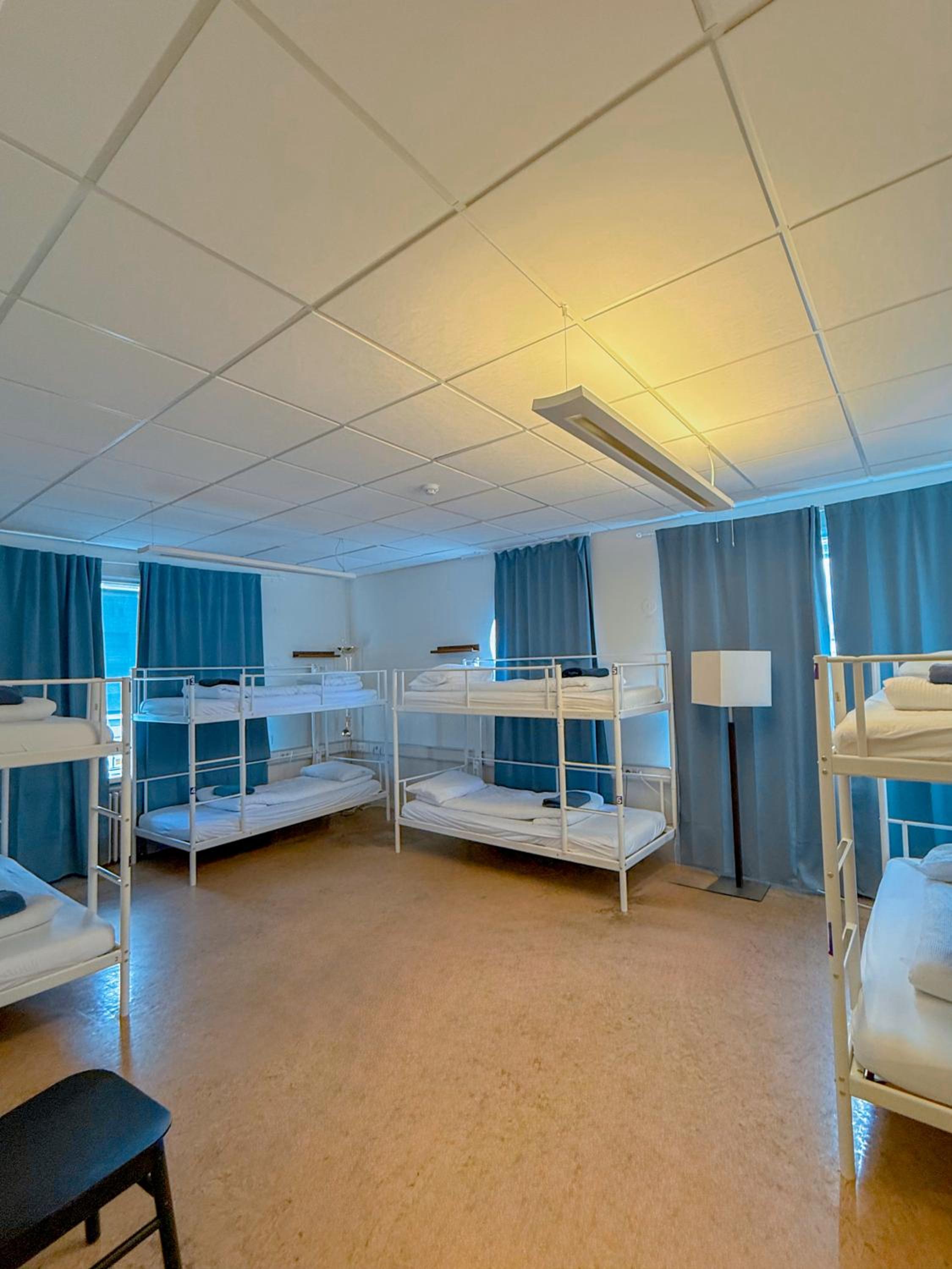 Bunk Bed in 8-Bed Mixed Dormitory Room photo 1