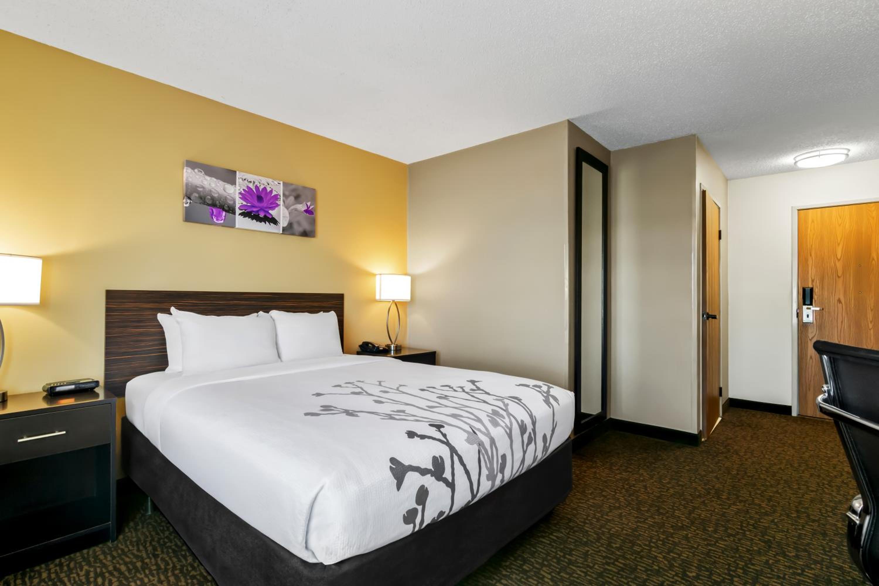 Queen Room - Accessible/Non-Smoking - Photo 3
