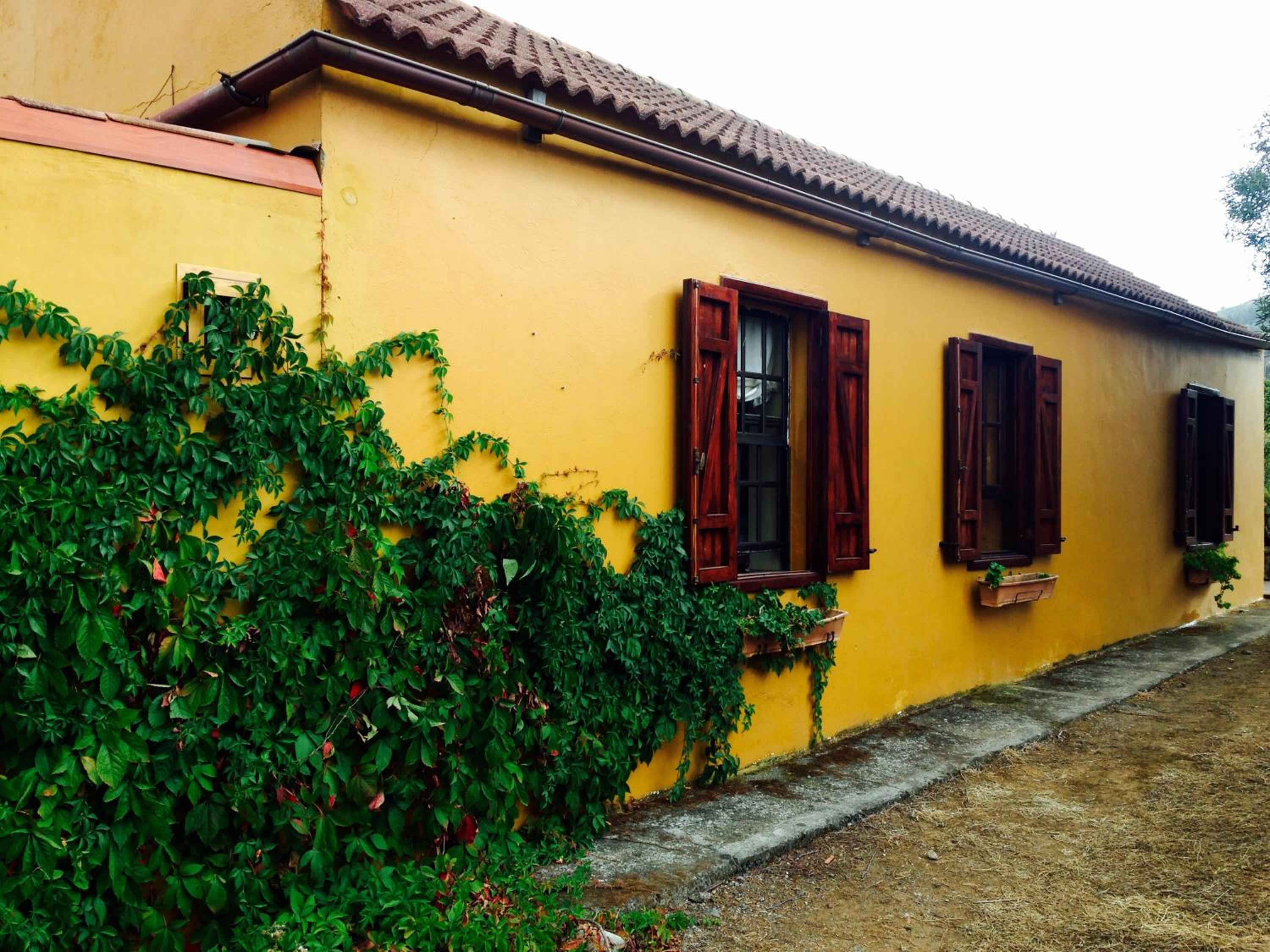 Three-Bedroom House photo 2