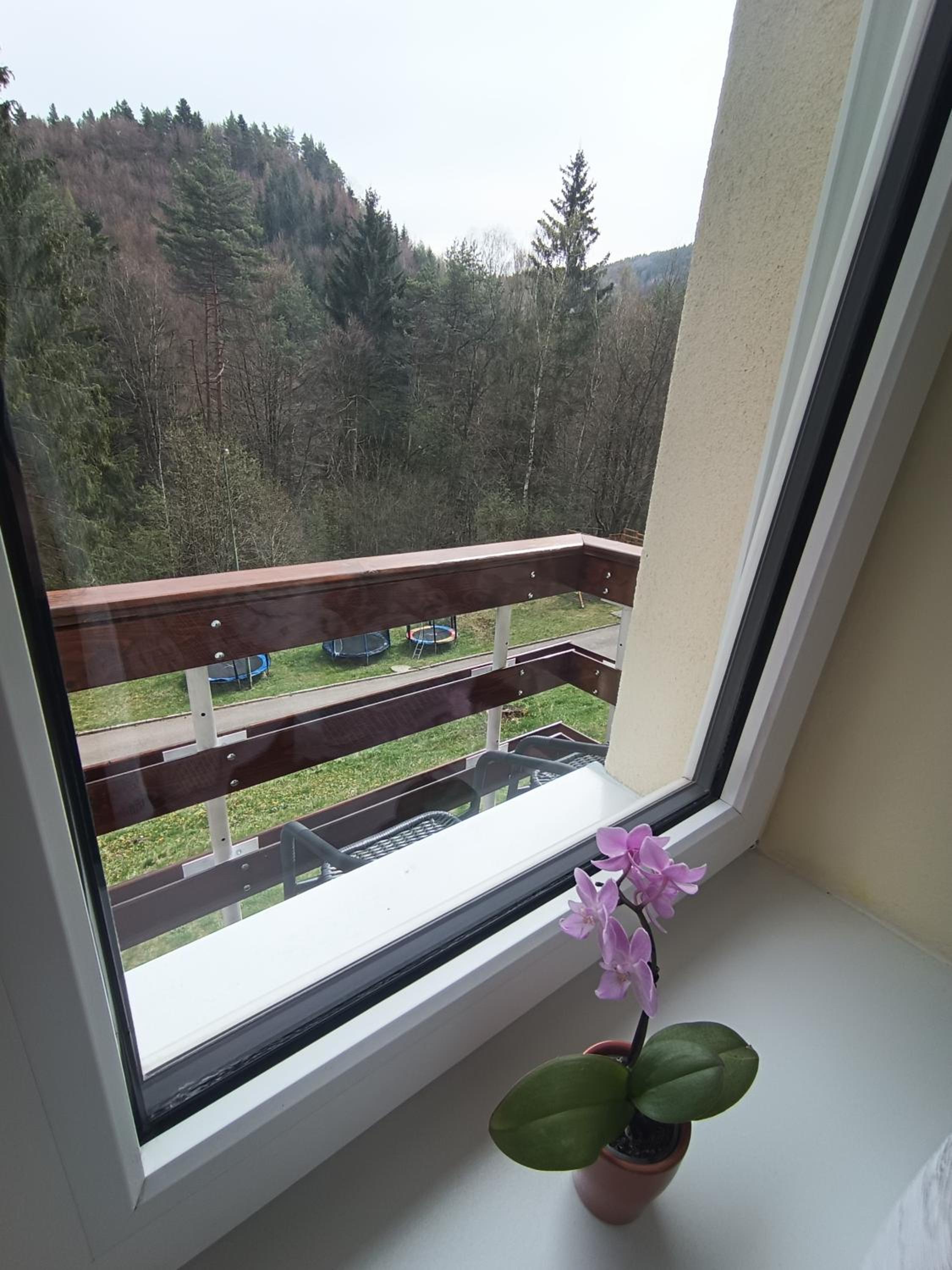 Standard Double or Twin Room with Balcony photo 2