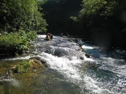 Vacation Home - Photo 27