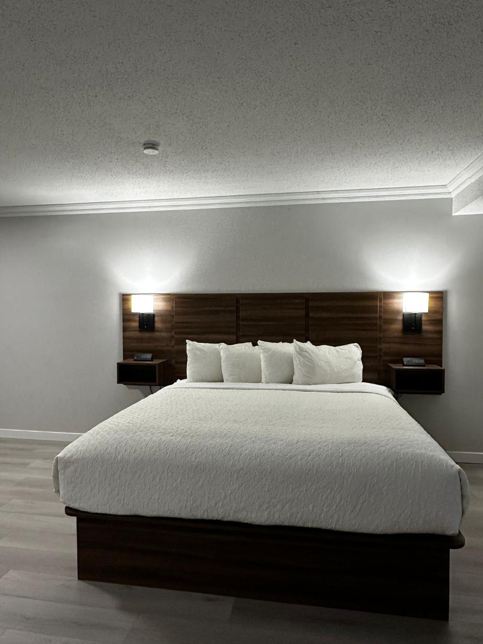 Superior King Room photo 3