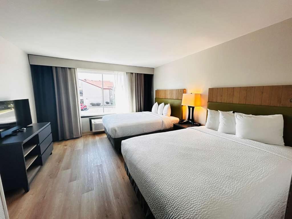 Deluxe Suite photo 2