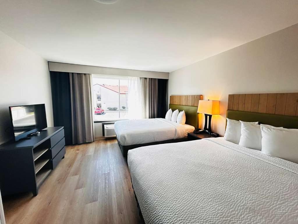 Deluxe Suite photo 3