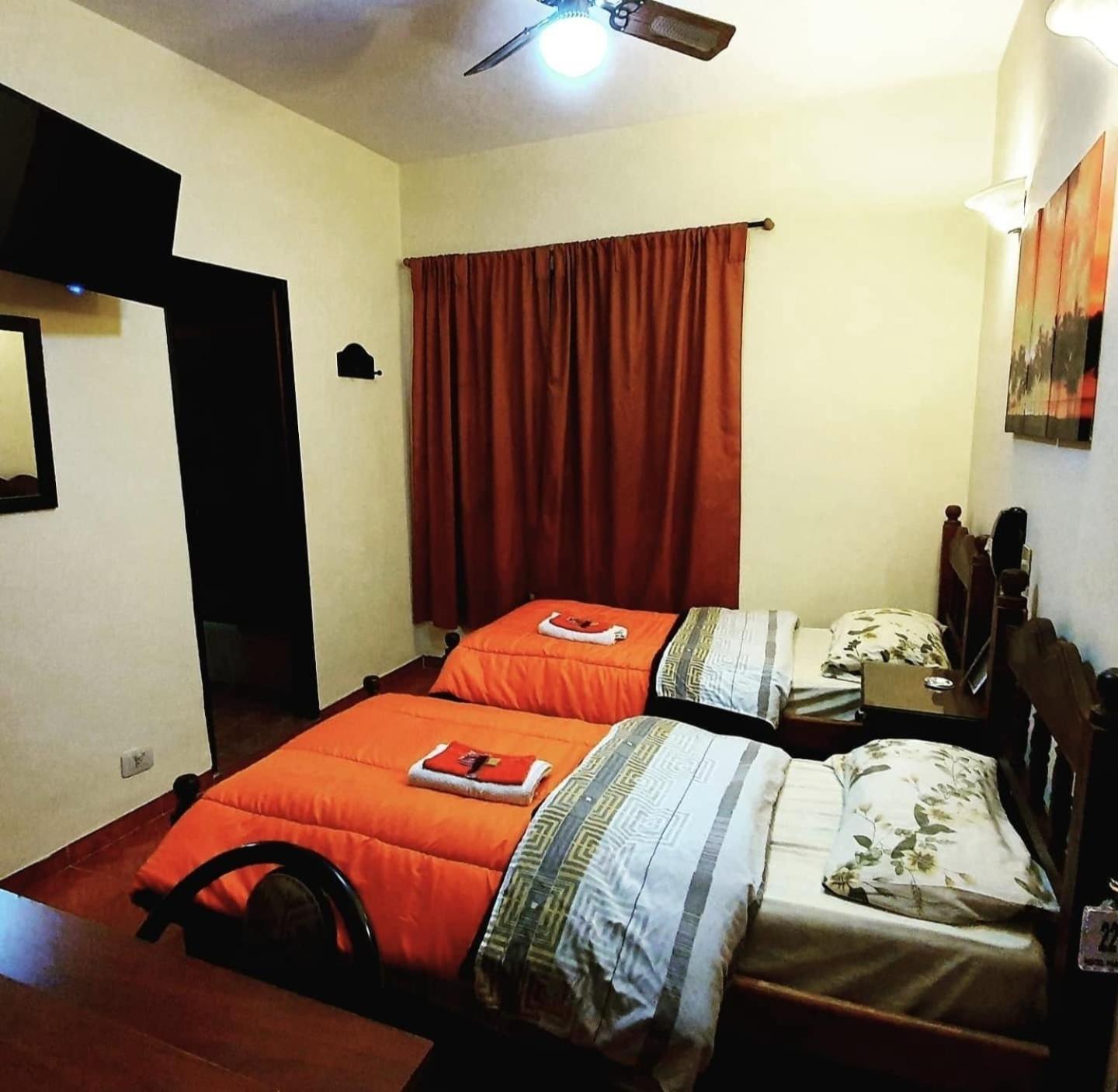 Twin Room photo 1